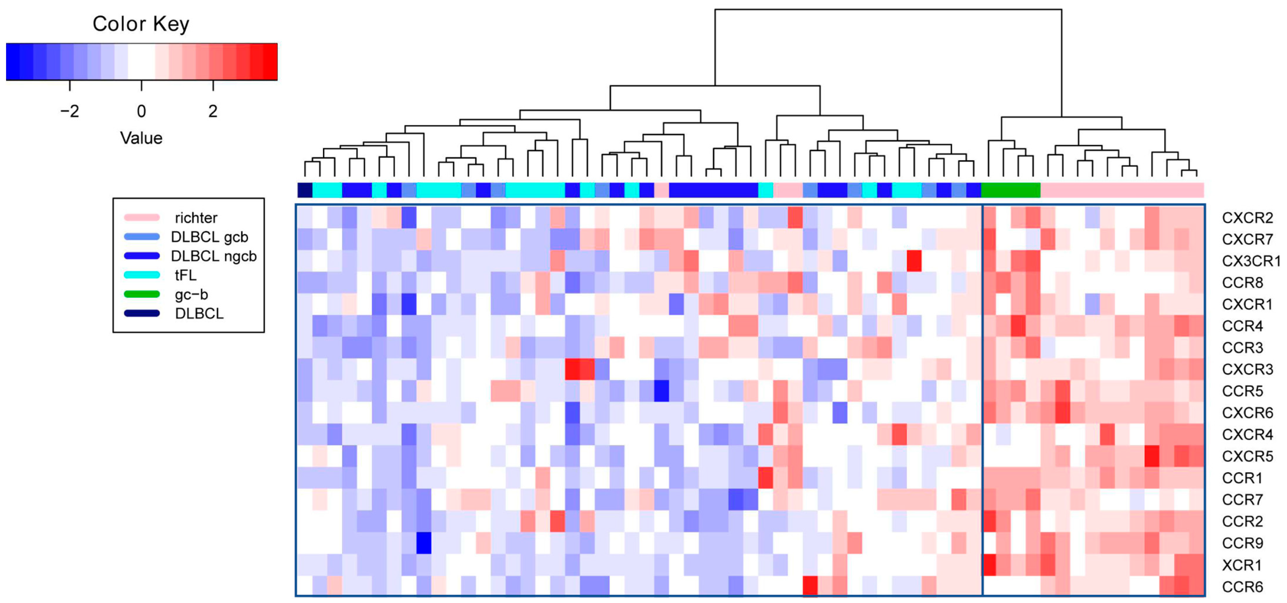 Ijms 23 07874 g003 Ijms 23 07874 g003