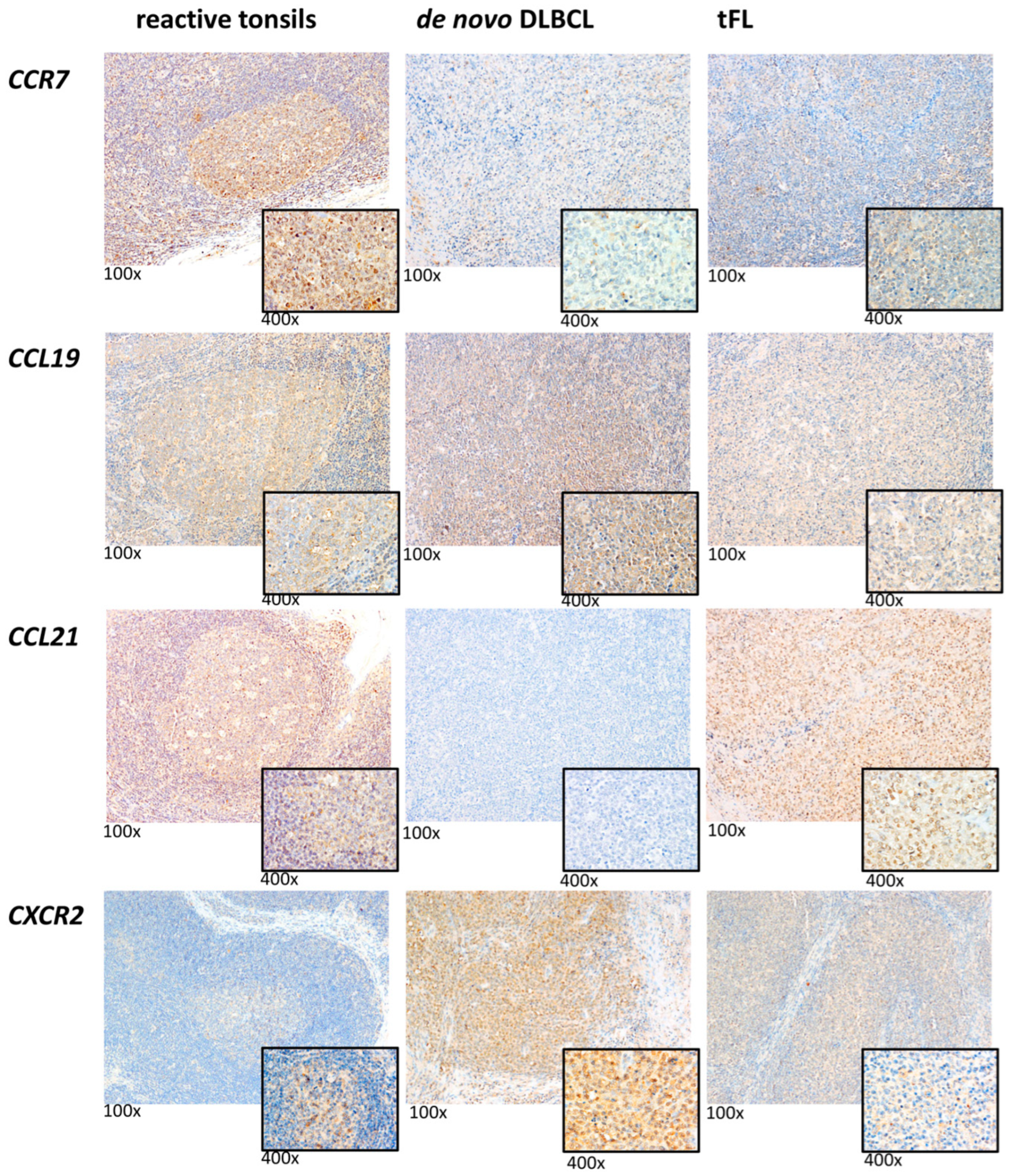 Ijms 23 07874 g006 Ijms 23 07874 g006