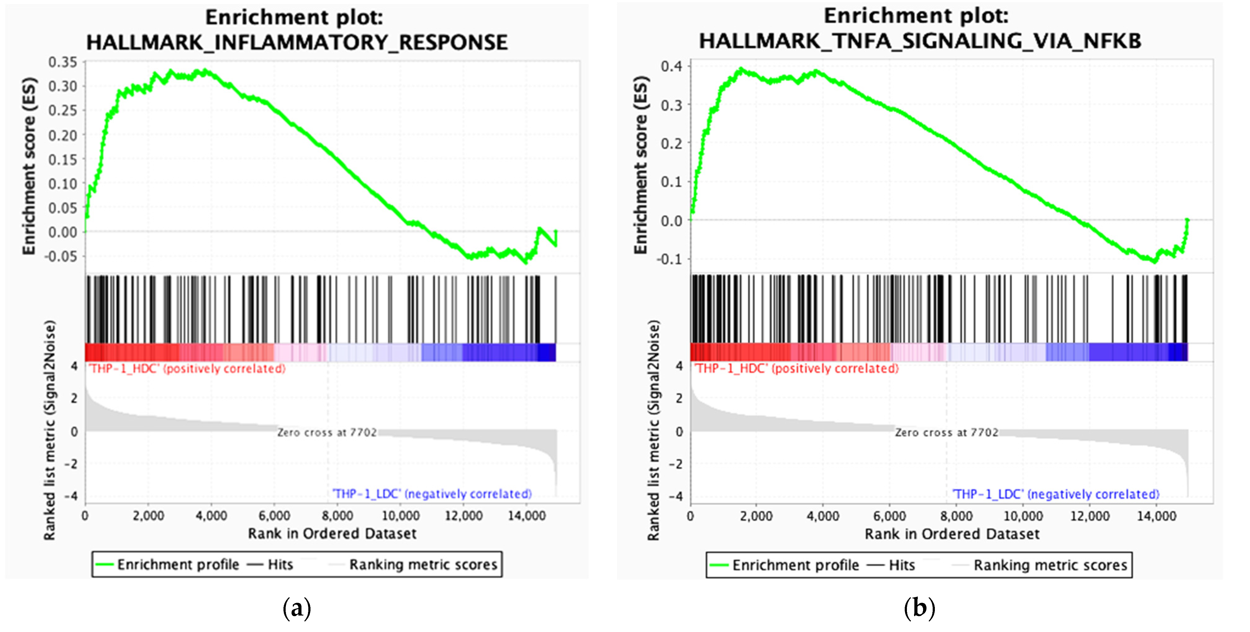 Ijms 23 07881 g007 Ijms 23 07881 g007