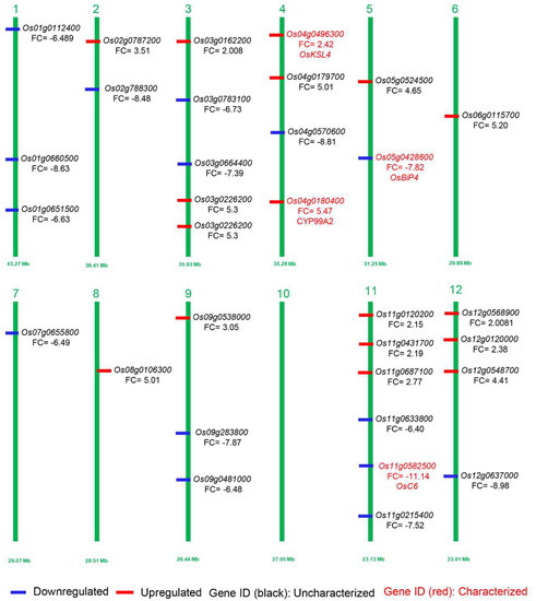 IJMS | Free Full-Text | Phytohormones and Transcriptome Analyses 