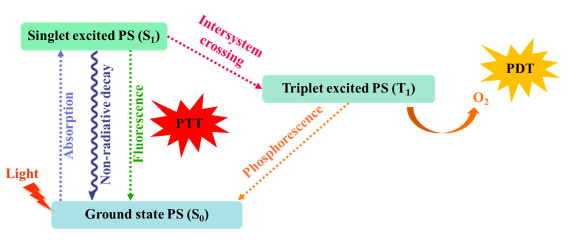 IJMS  Free FullText  Antitumor Applications of Photothermal Agents