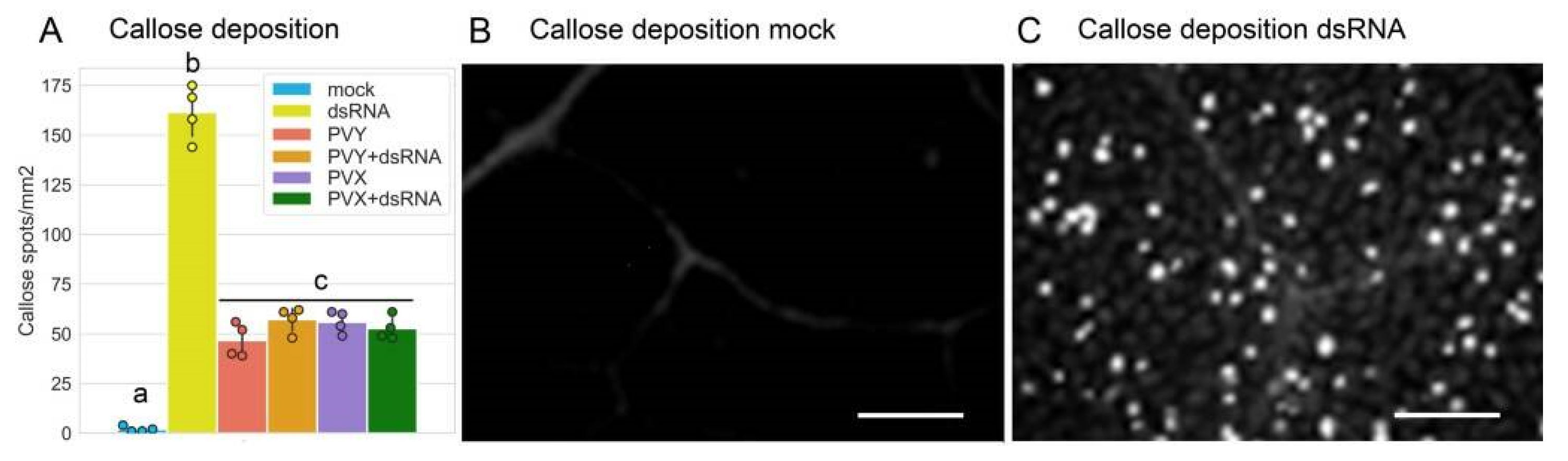 Ijms 23 07915 g004 Ijms 23 07915 g004