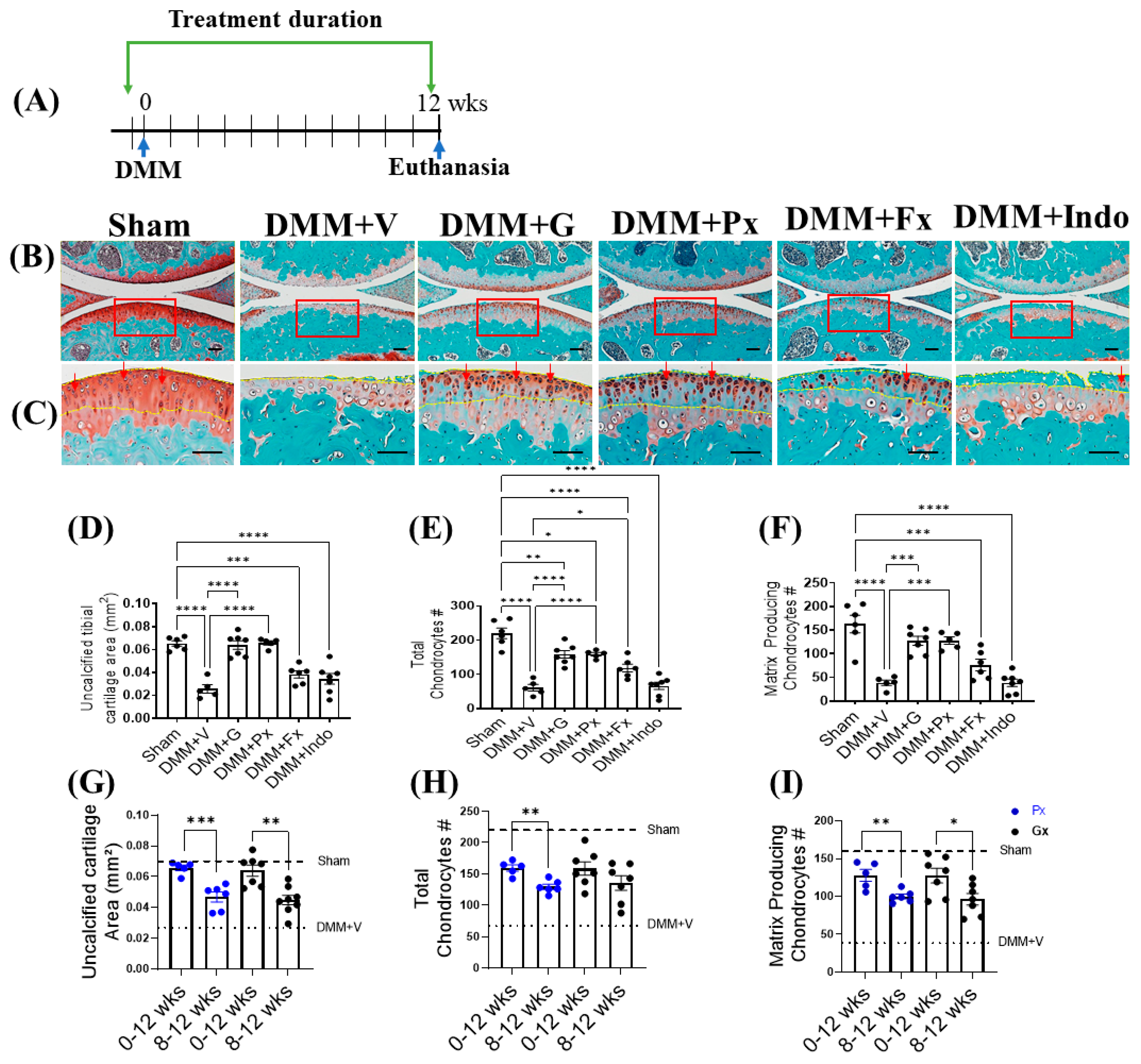 Ijms 23 07933 g001 Ijms 23 07933 g001