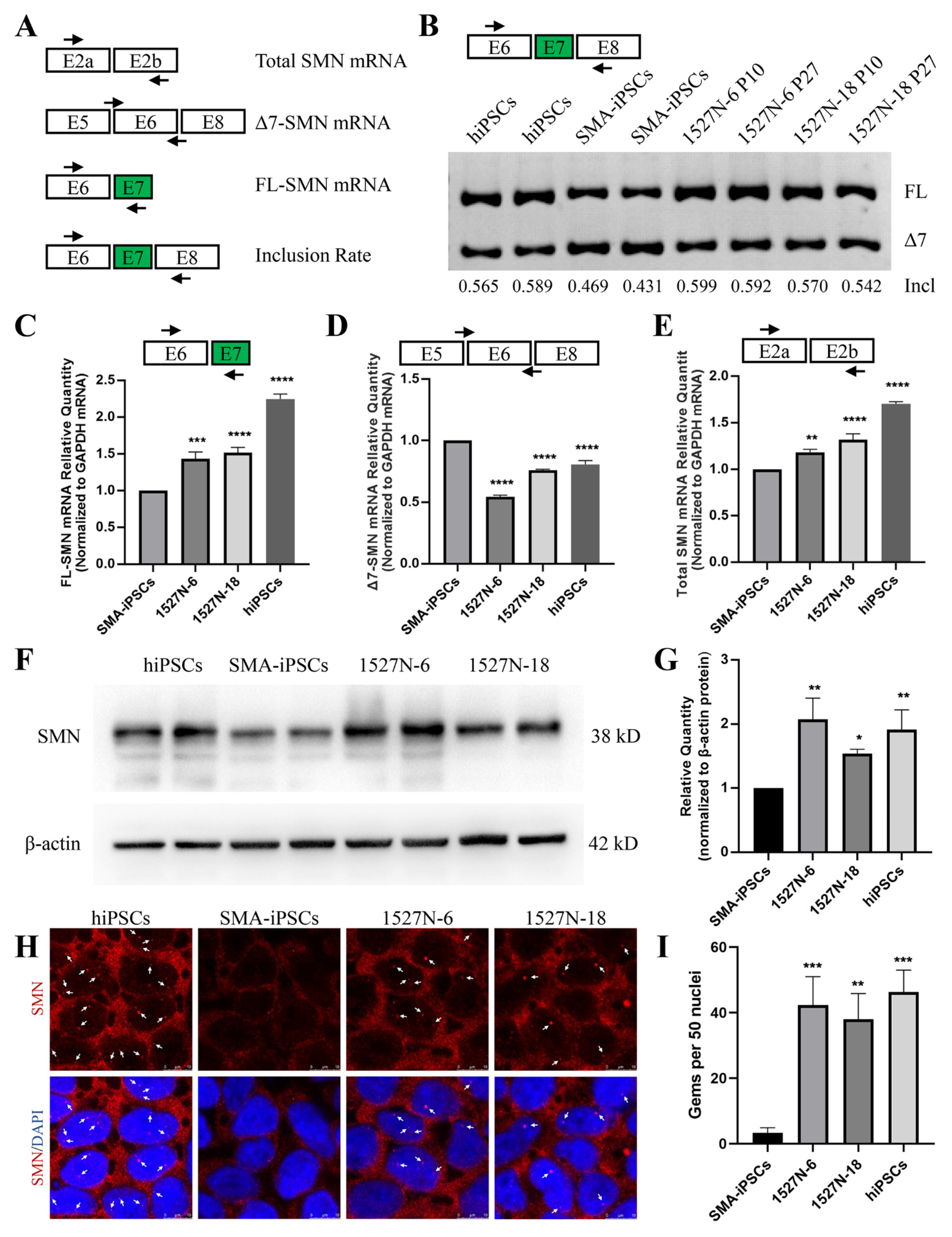 Ijms 23 07941 g003 Ijms 23 07941 g003