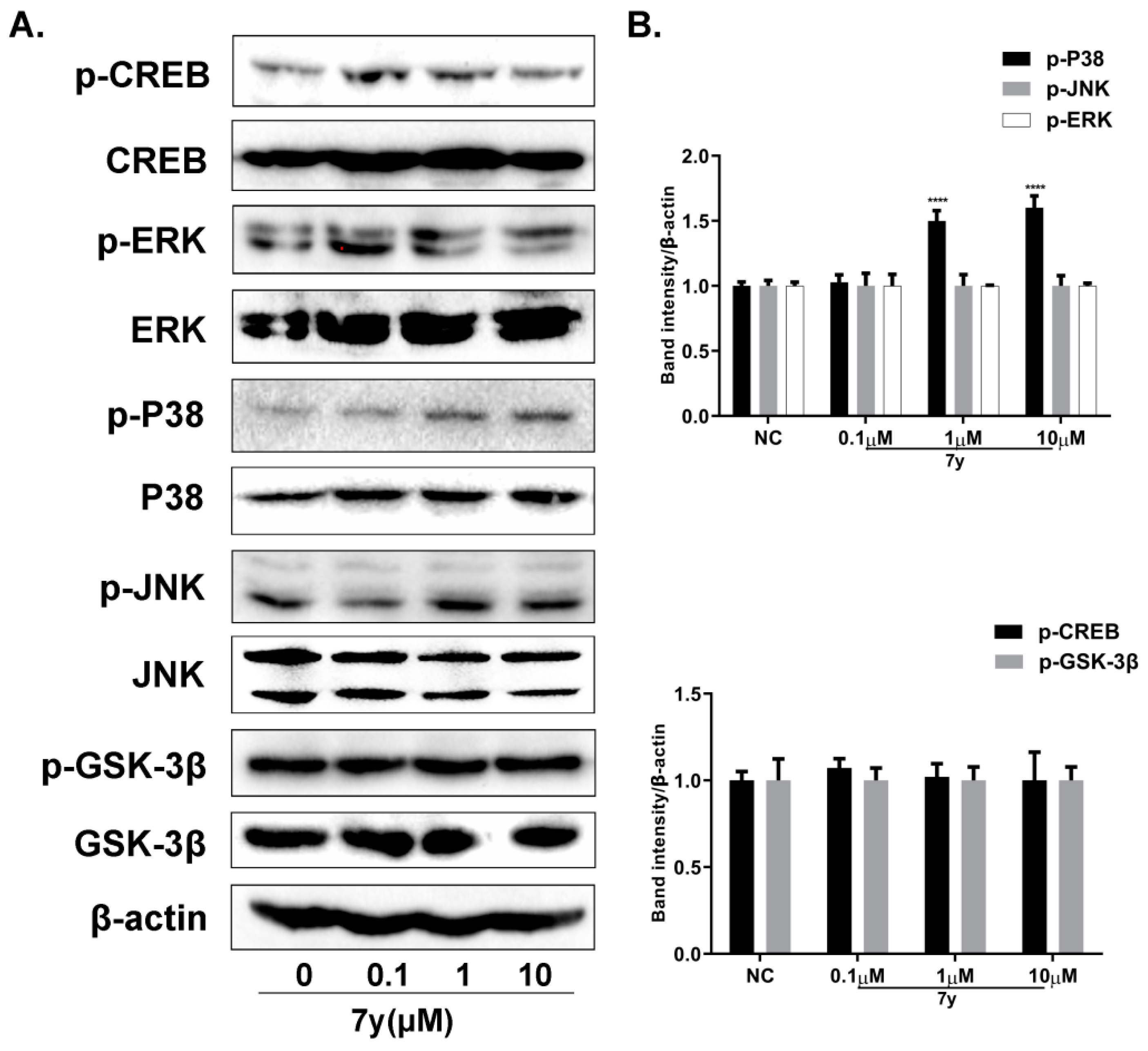 Ijms 23 07959 g010