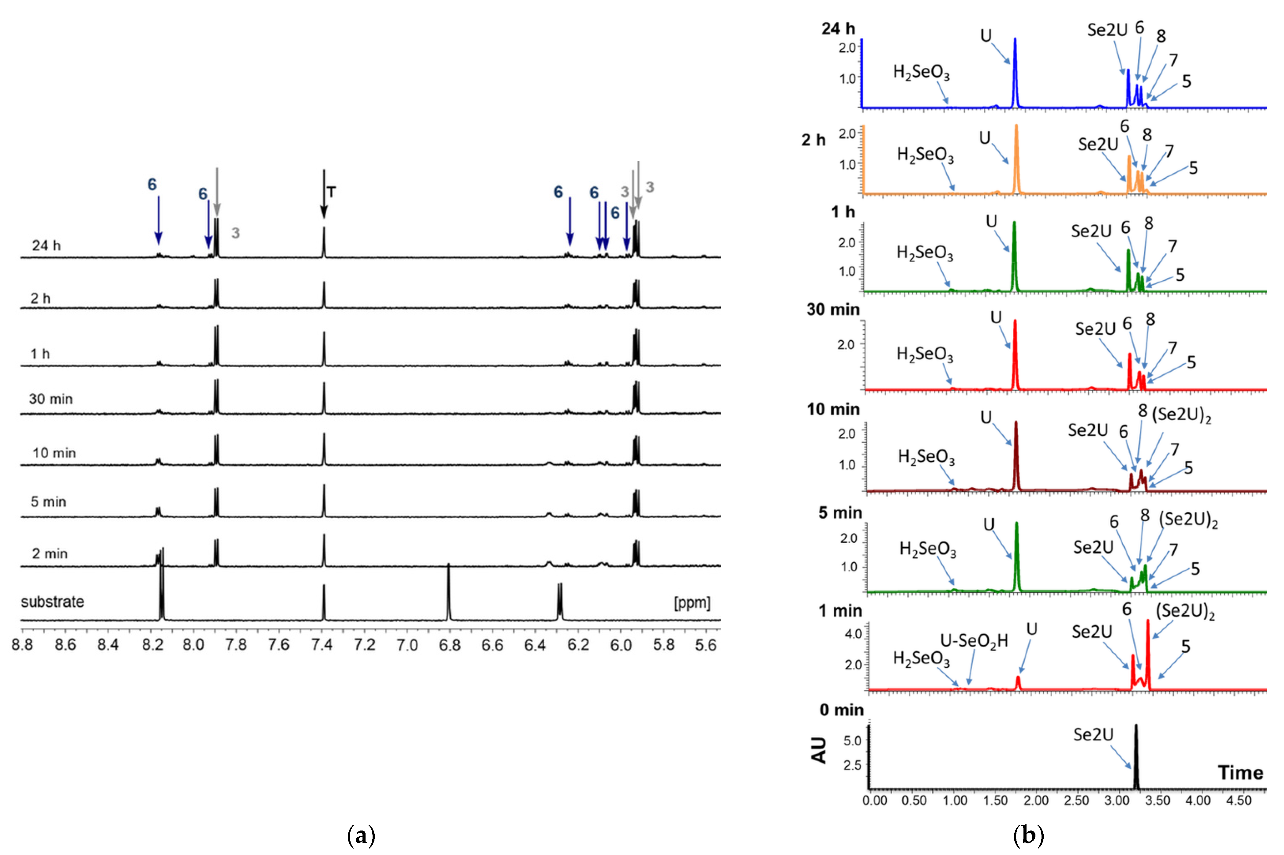 Ijms 23 07973 g002 Ijms 23 07973 g002