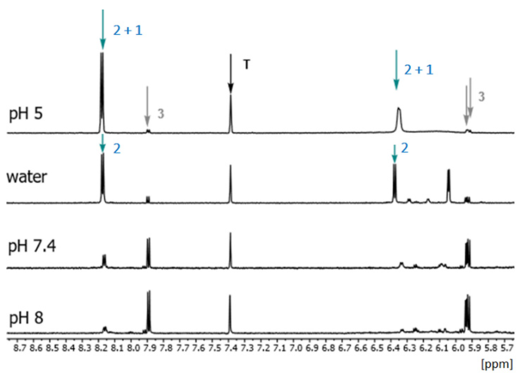 Ijms 23 07973 g003 Ijms 23 07973 g003