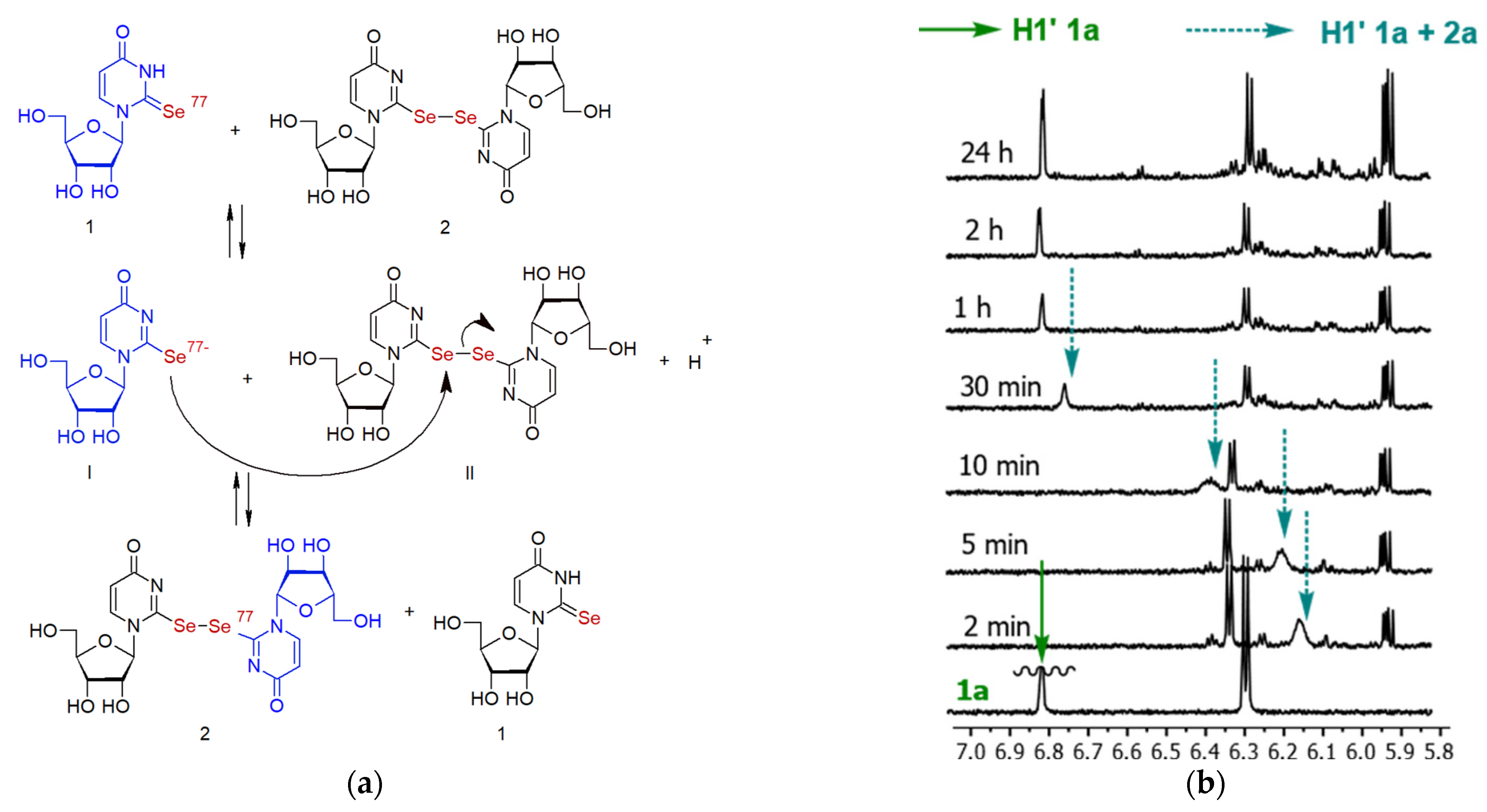 Ijms 23 07973 g004 Ijms 23 07973 g004