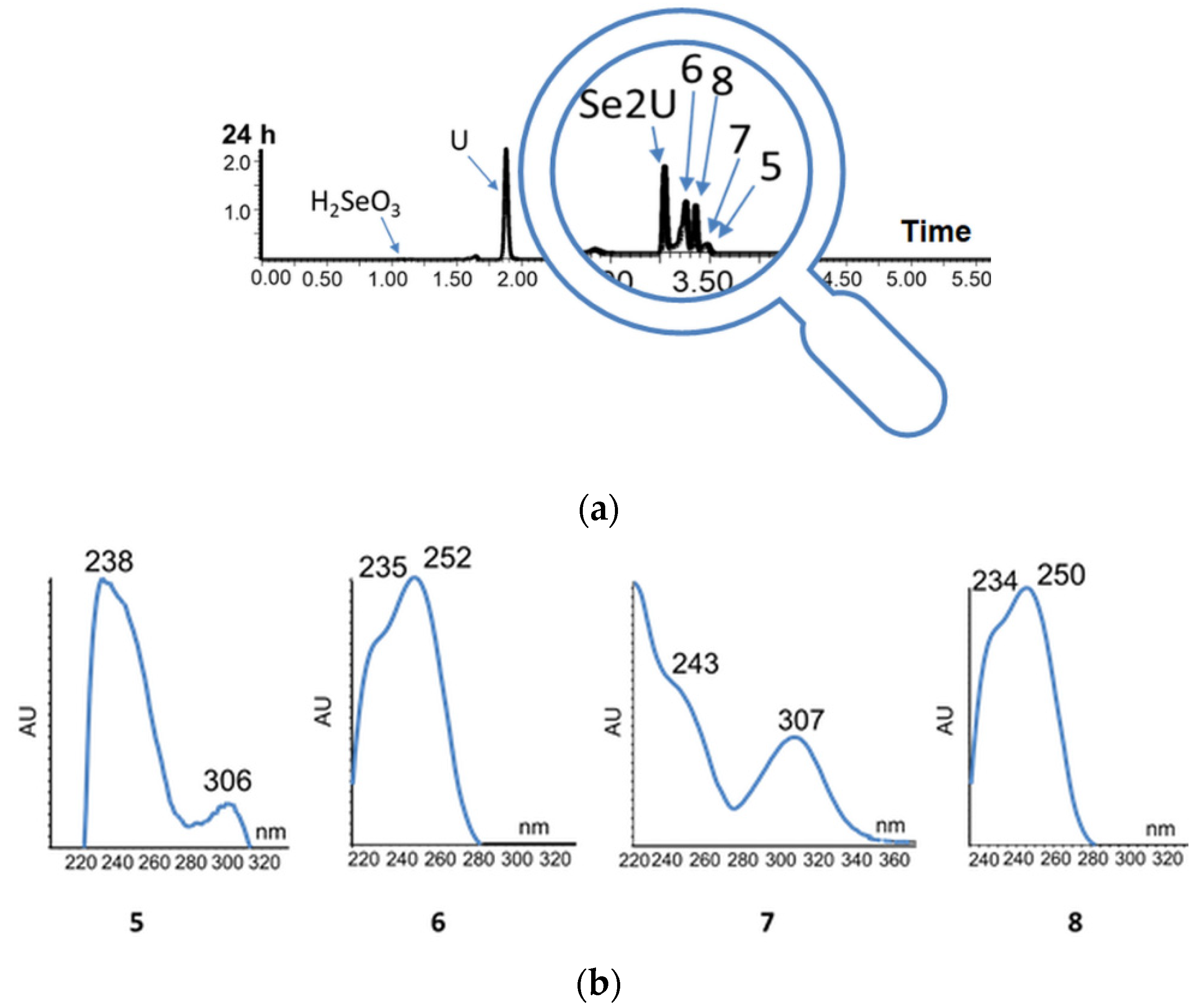 Ijms 23 07973 g007 Ijms 23 07973 g007