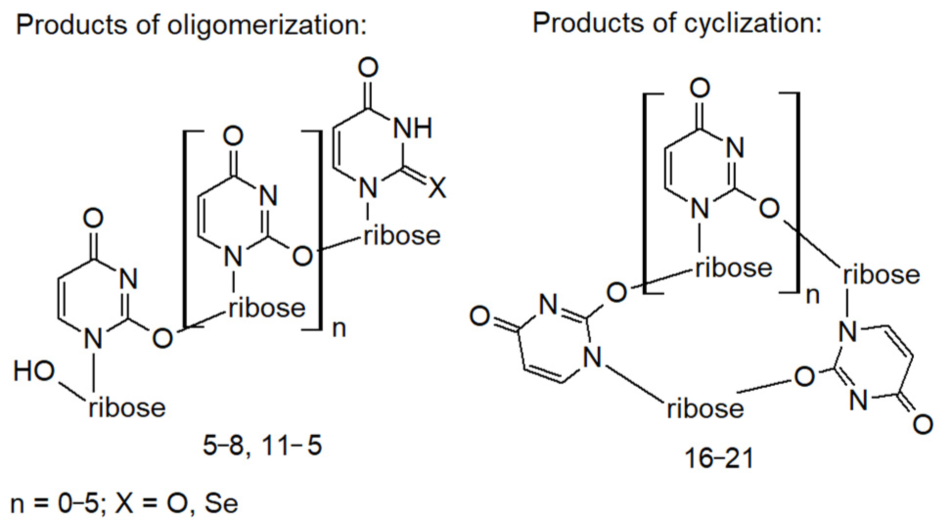 Ijms 23 07973 g008 Ijms 23 07973 g008