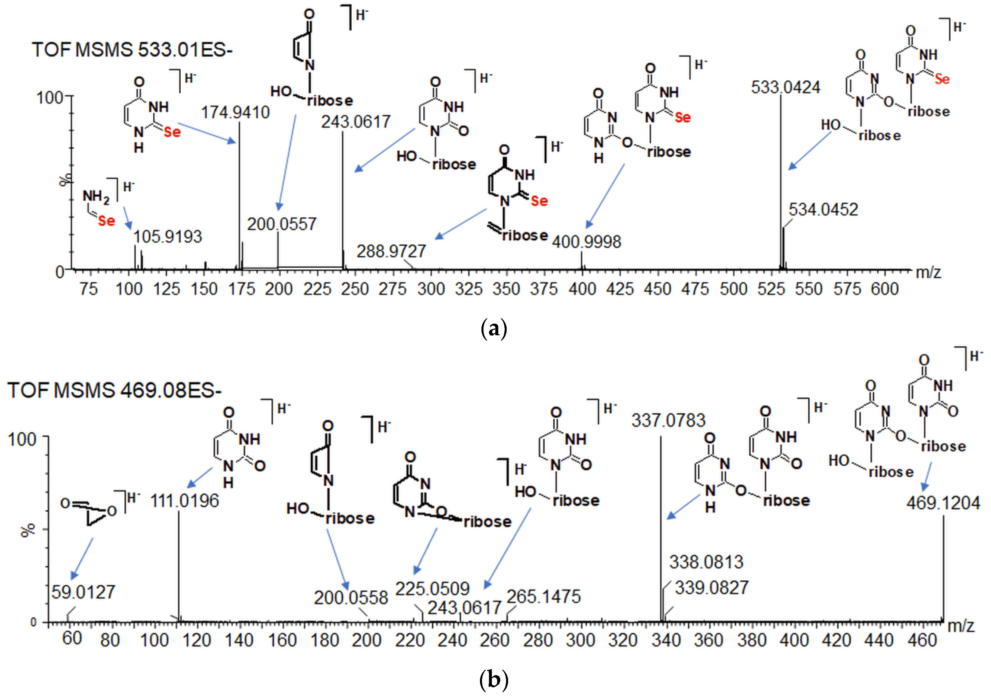 Ijms 23 07973 g009a Ijms 23 07973 g009a