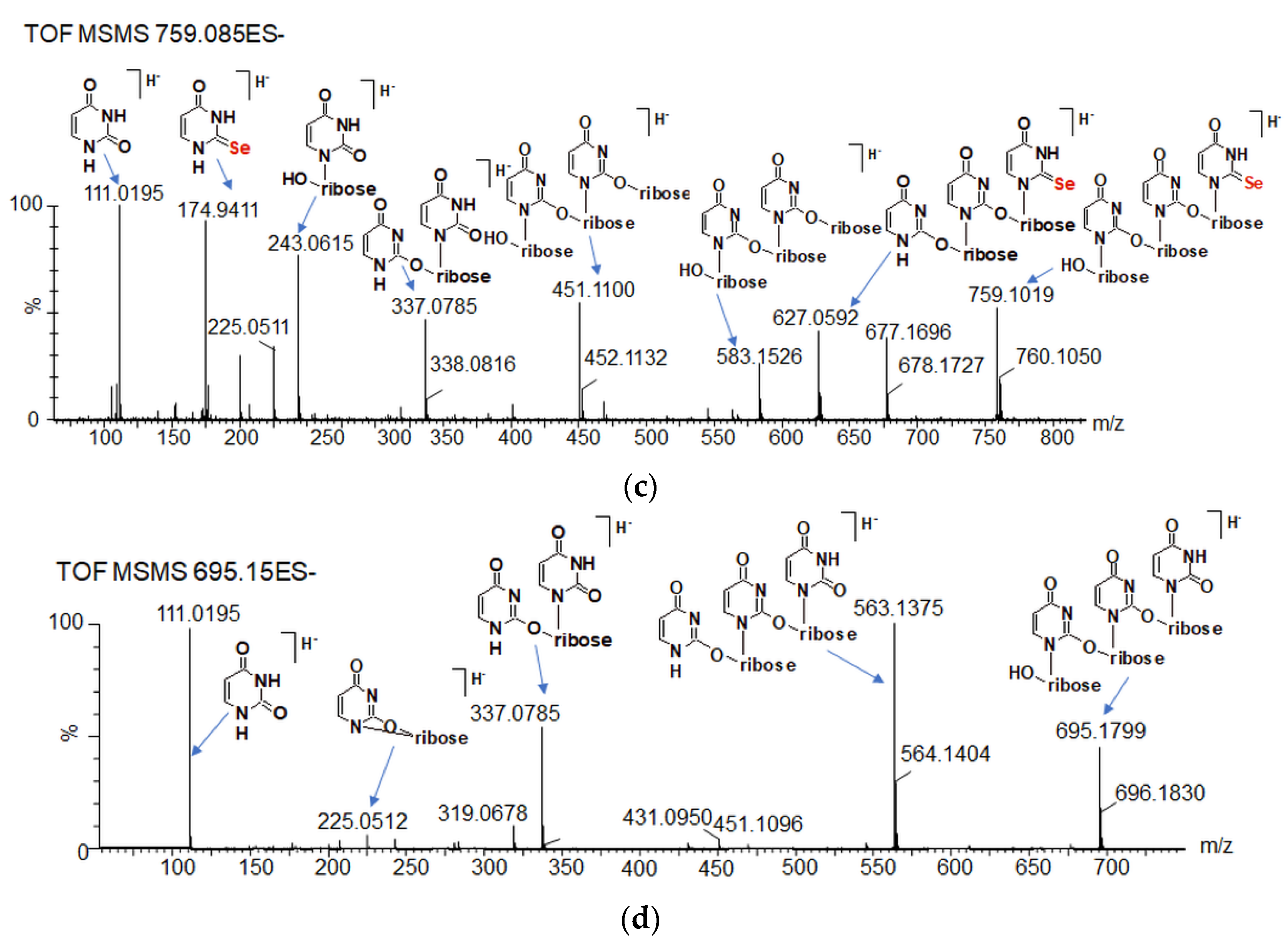 Ijms 23 07973 g009b Ijms 23 07973 g009b