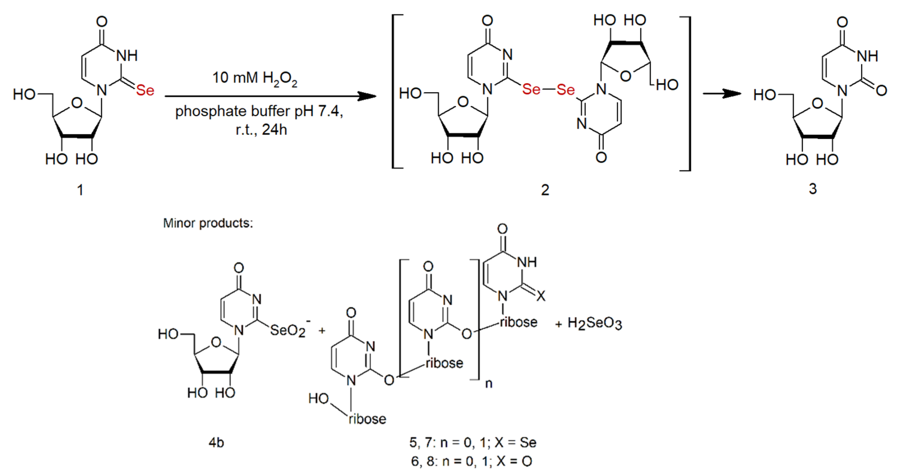 Ijms 23 07973 sch001 Ijms 23 07973 sch001