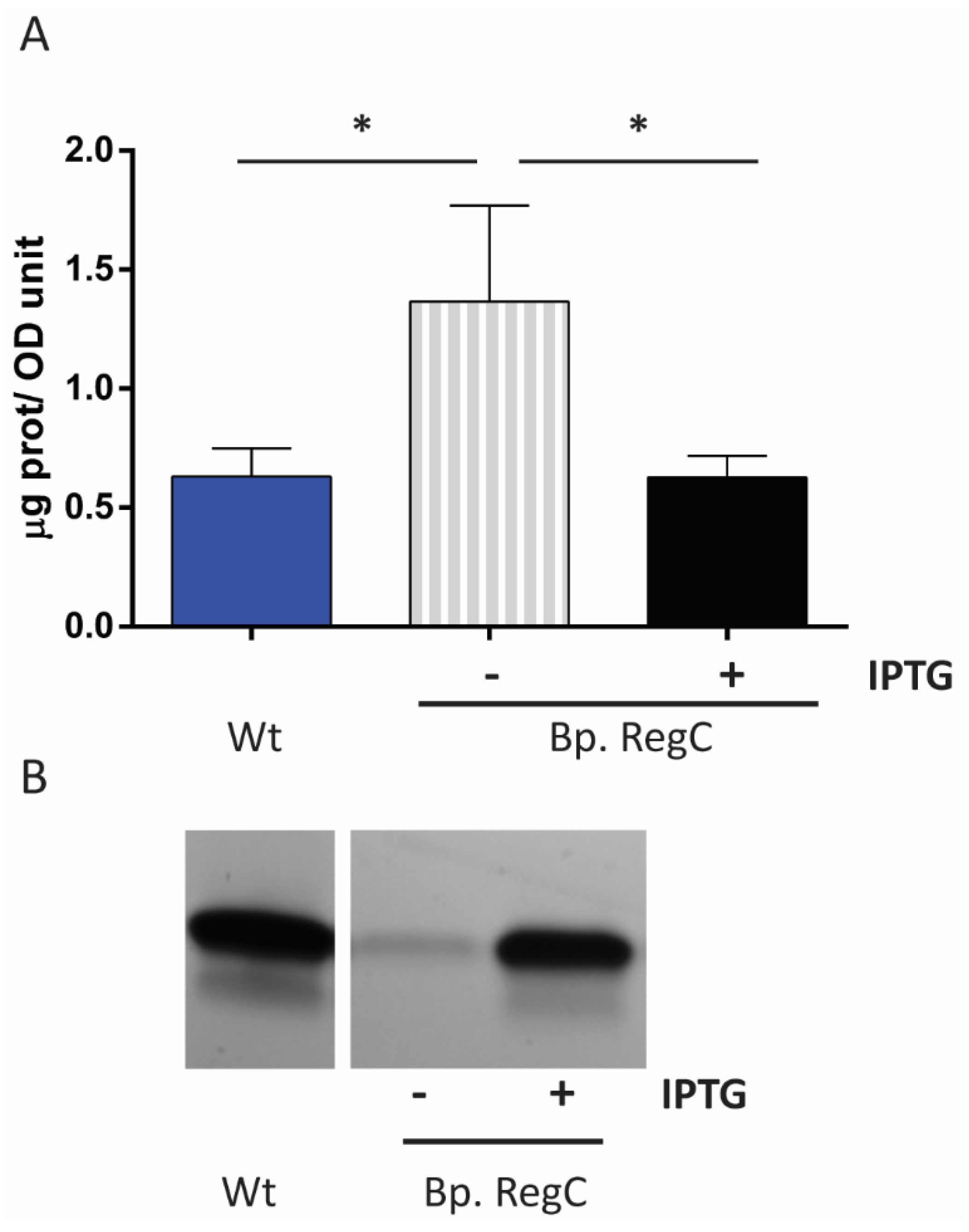 Ijms 23 08027 g004 Ijms 23 08027 g004