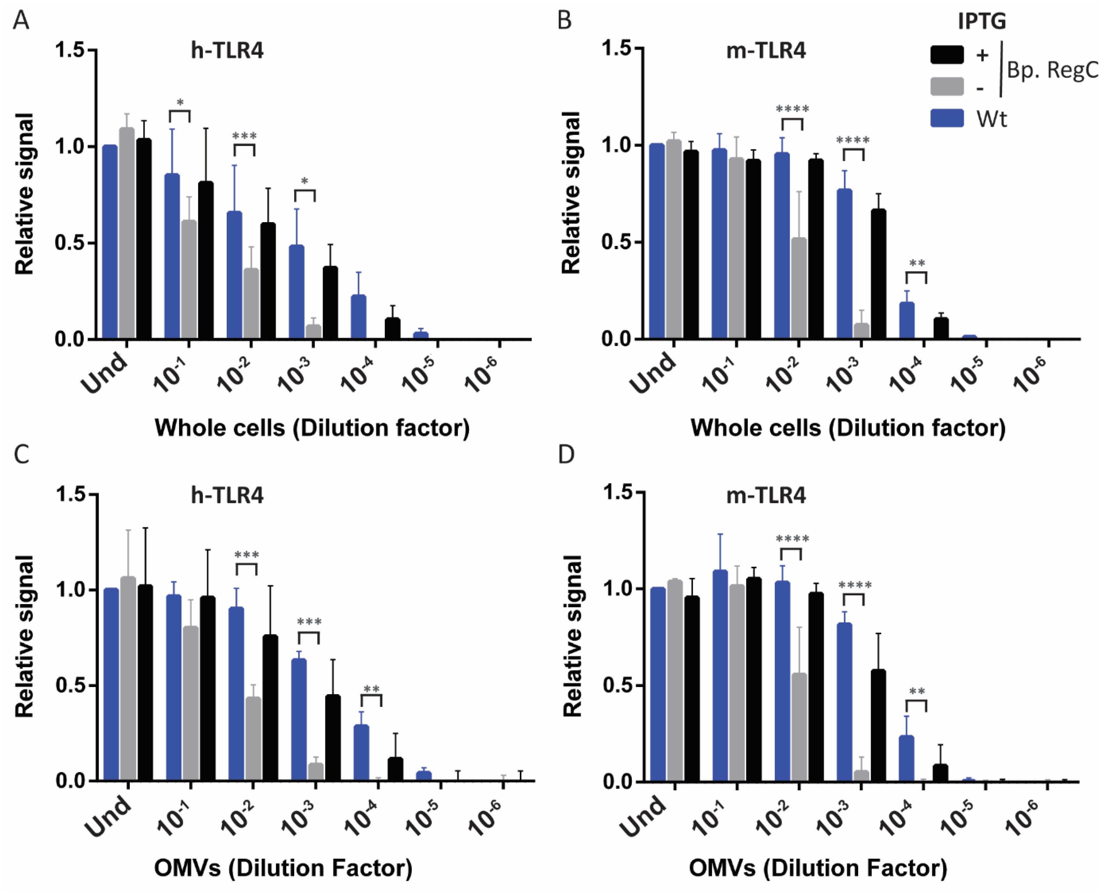 Ijms 23 08027 g005 Ijms 23 08027 g005