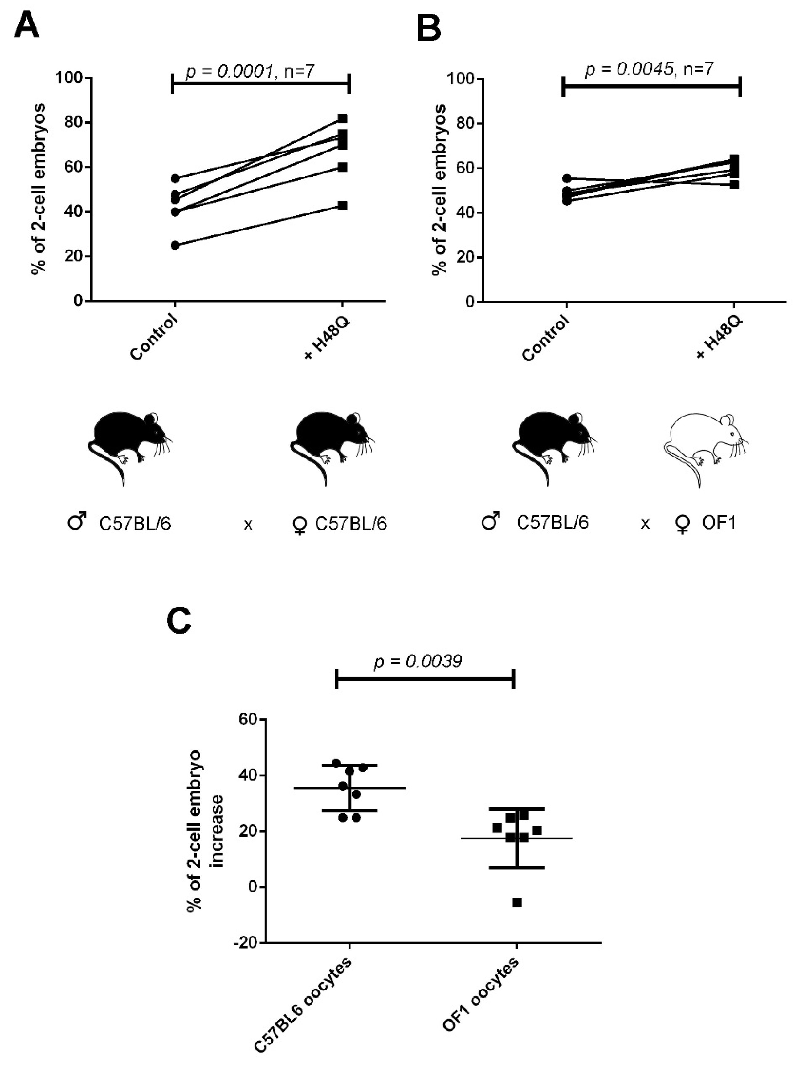 IJMS | Free Full-Text | Treatment of Mouse Sperm with a Non-Catalytic ...