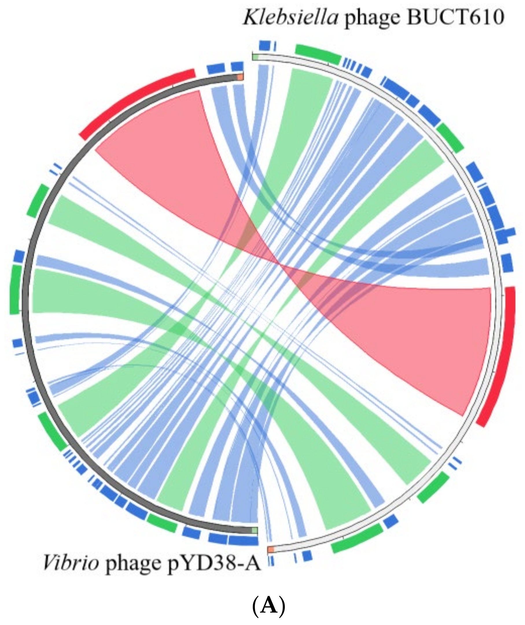 Ijms 23 08040 g004a Ijms 23 08040 g004a