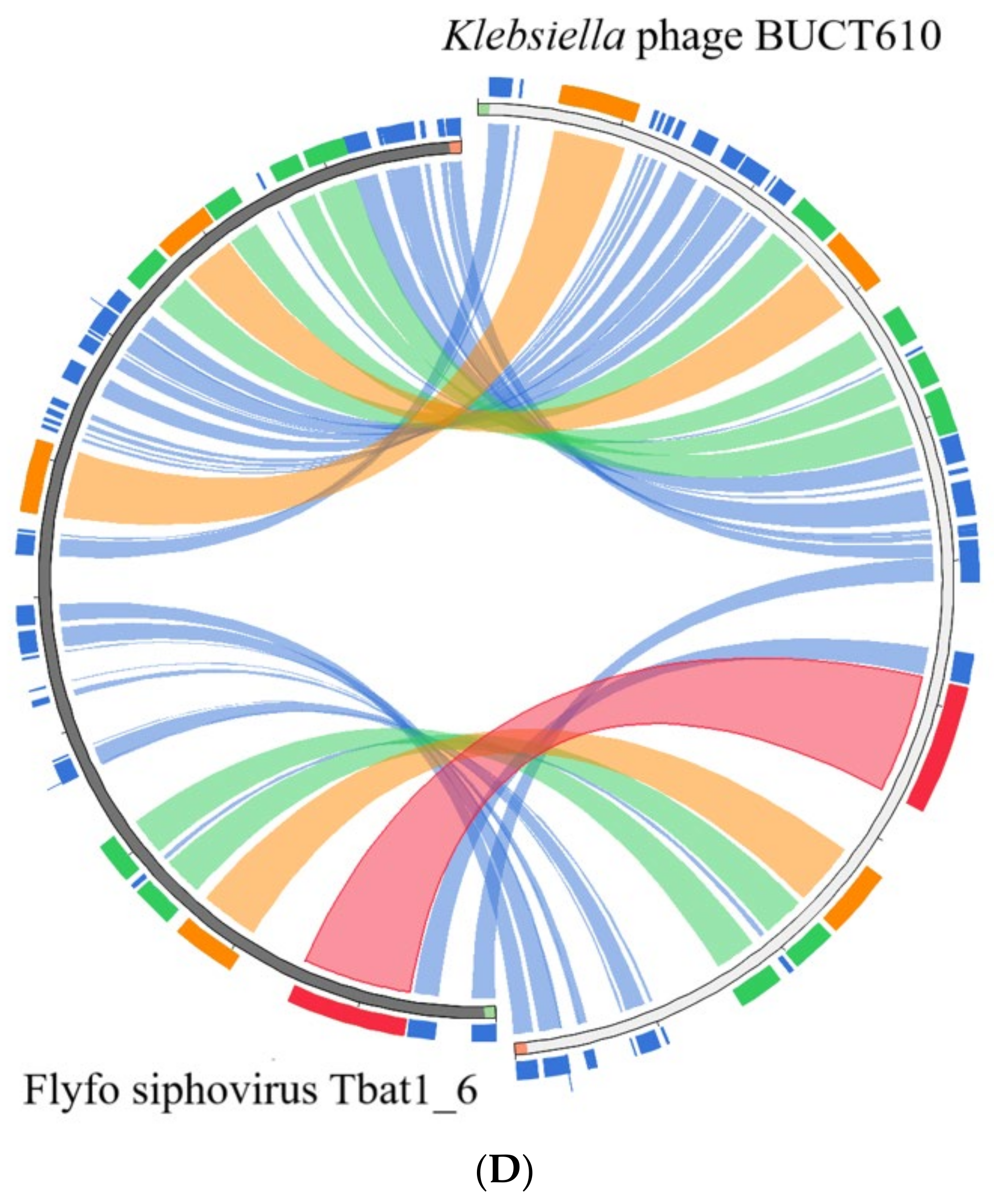 Ijms 23 08040 g004c Ijms 23 08040 g004c