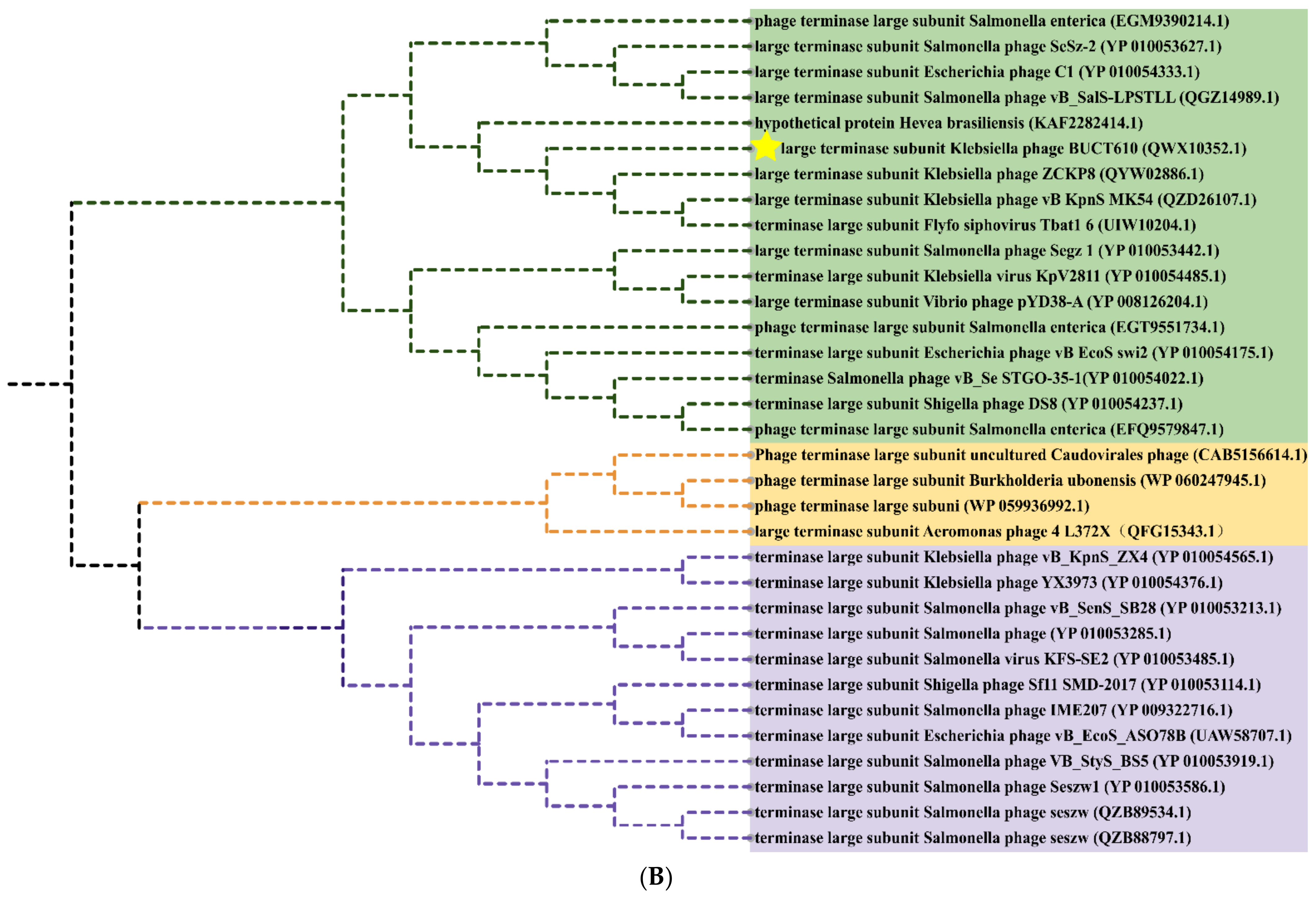 Ijms 23 08040 g005b Ijms 23 08040 g005b