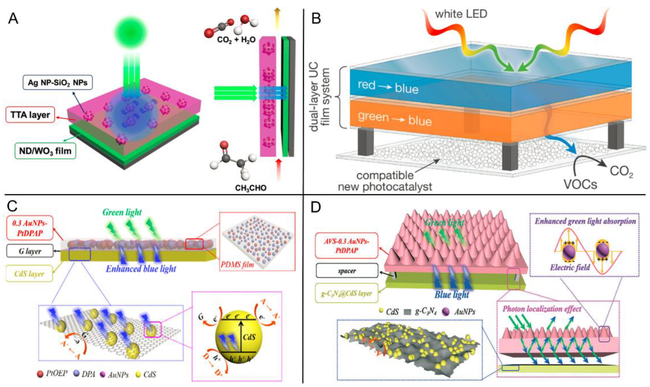 Organic Polymer Hosts for Triplet–Triplet Annihilation Upconversion Systems