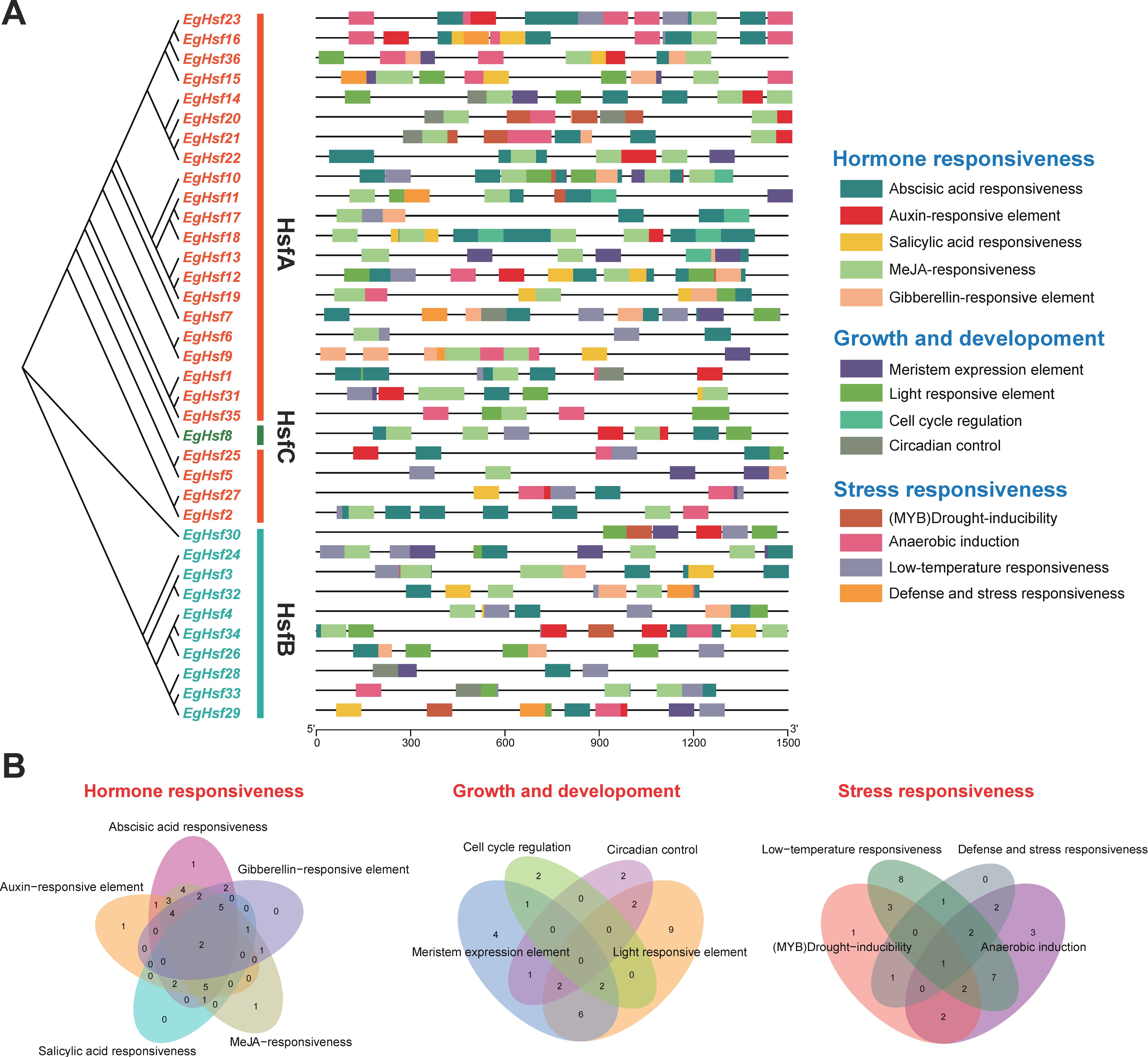 Ijms 23 08044 g006 Ijms 23 08044 g006