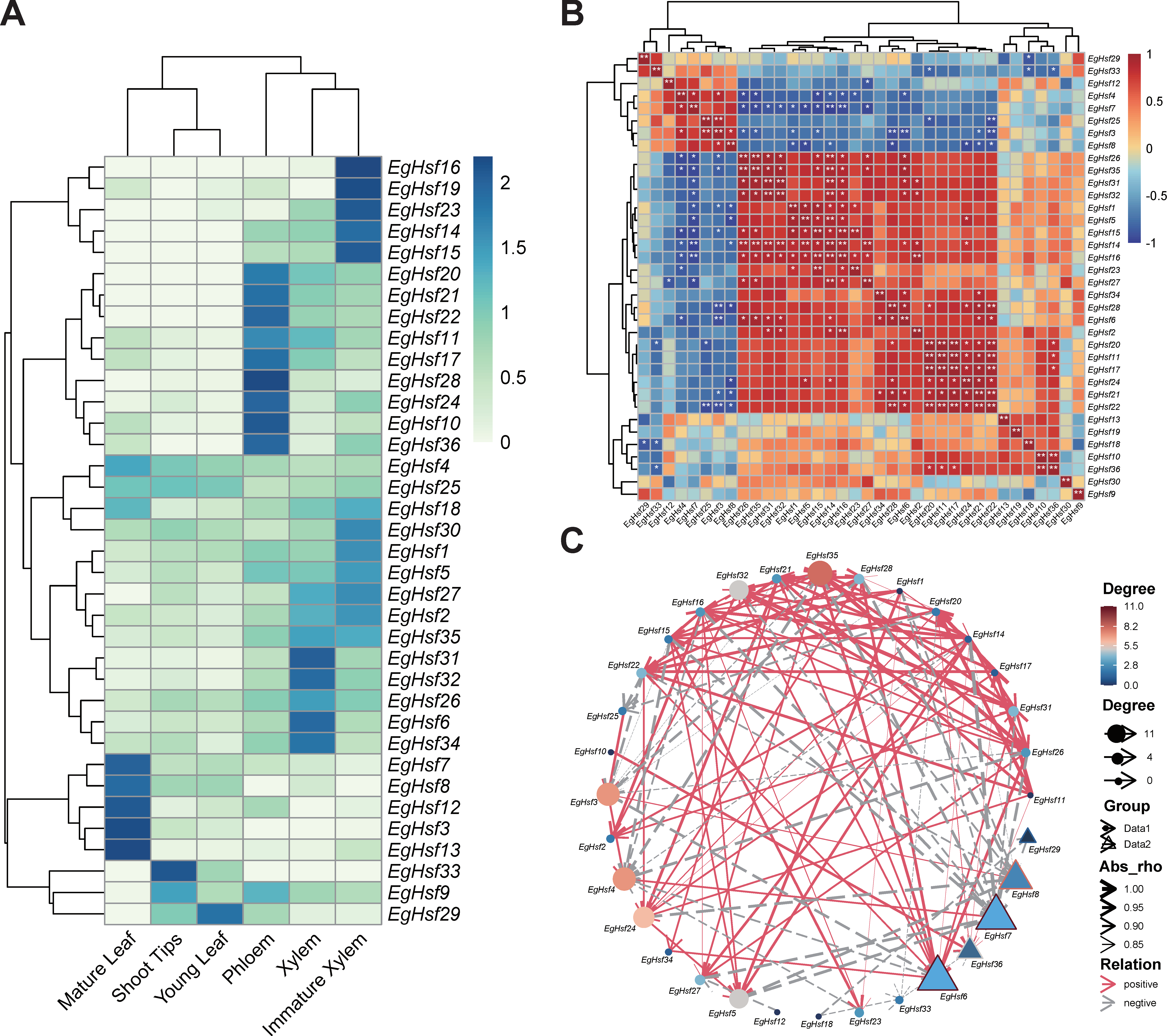 Ijms 23 08044 g008 Ijms 23 08044 g008