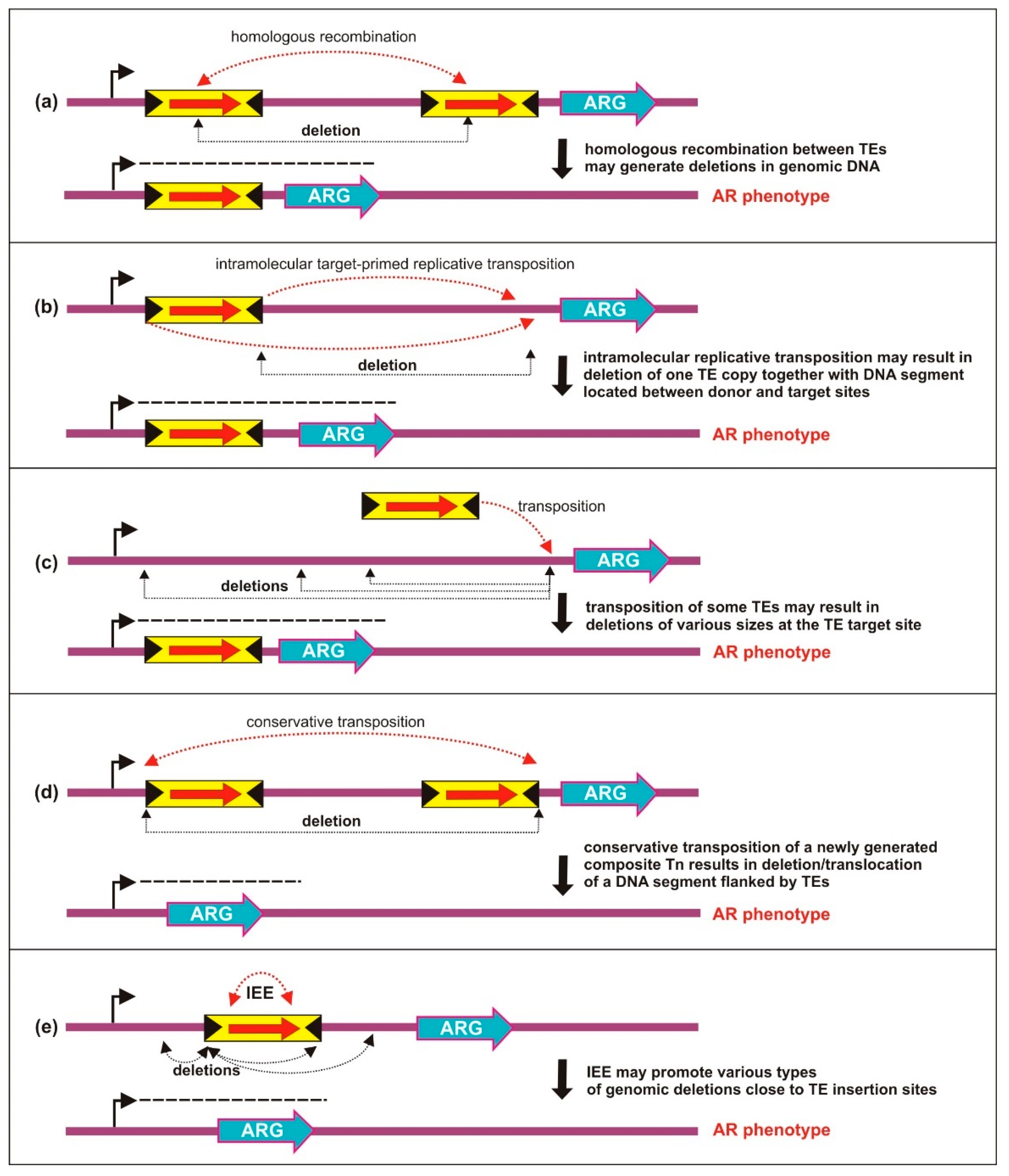 Ijms 23 08063 g003 Ijms 23 08063 g003
