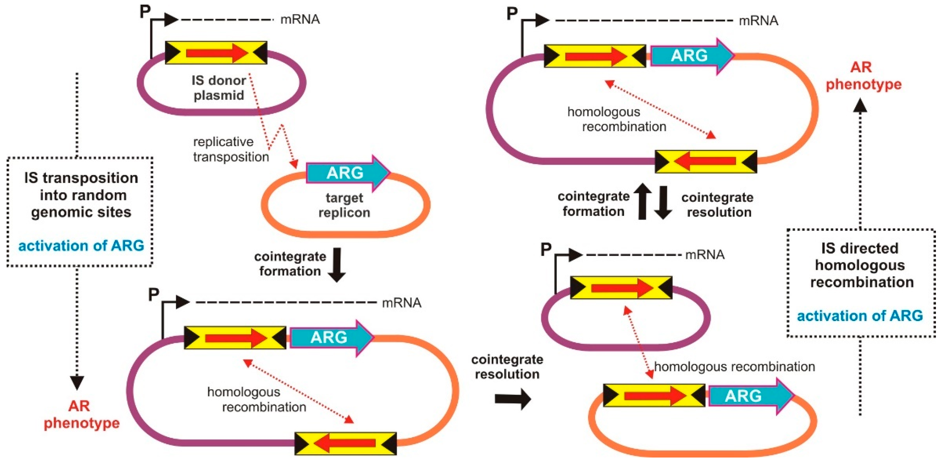 Ijms 23 08063 g004 Ijms 23 08063 g004