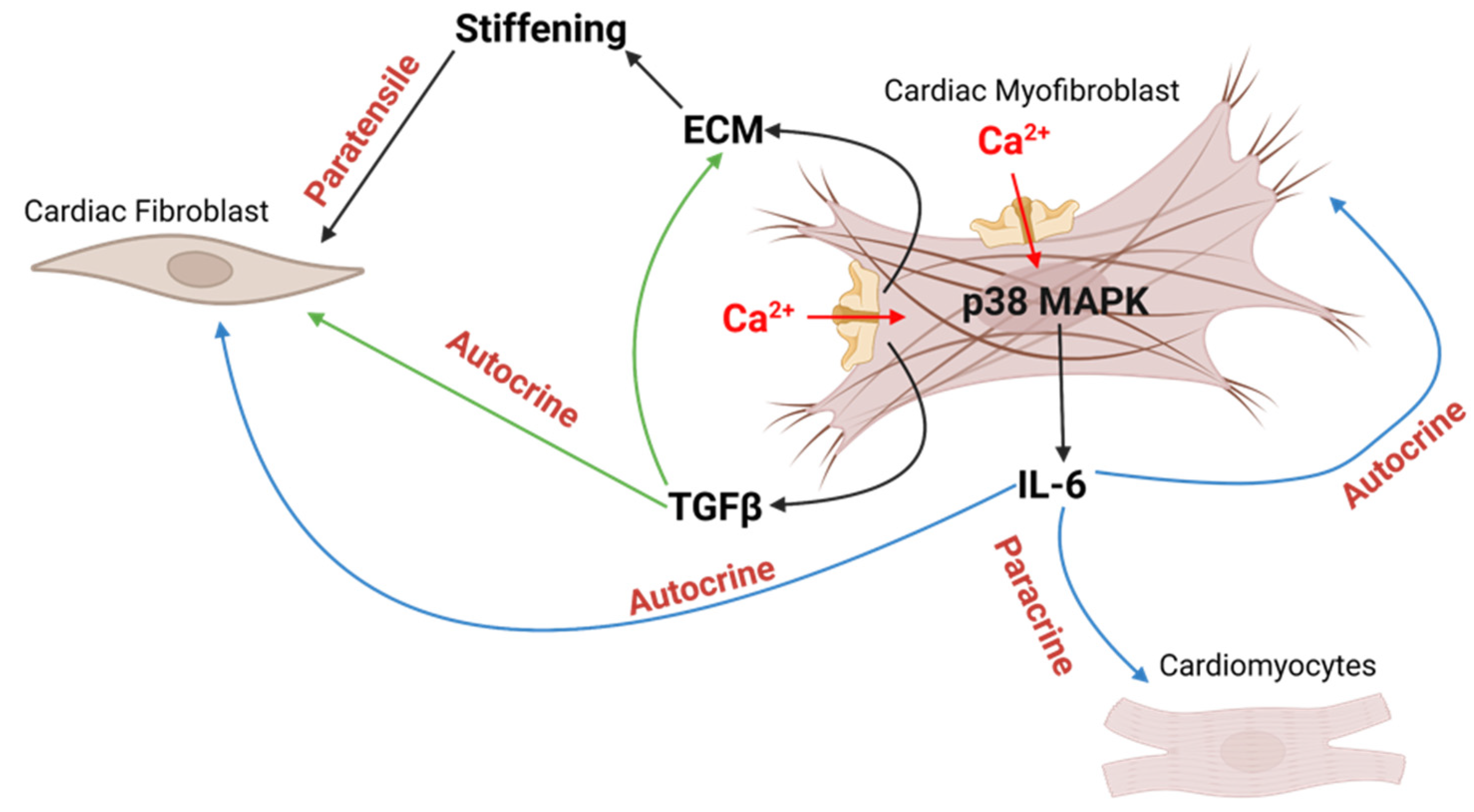 Ijms 23 08065 g003 Ijms 23 08065 g003