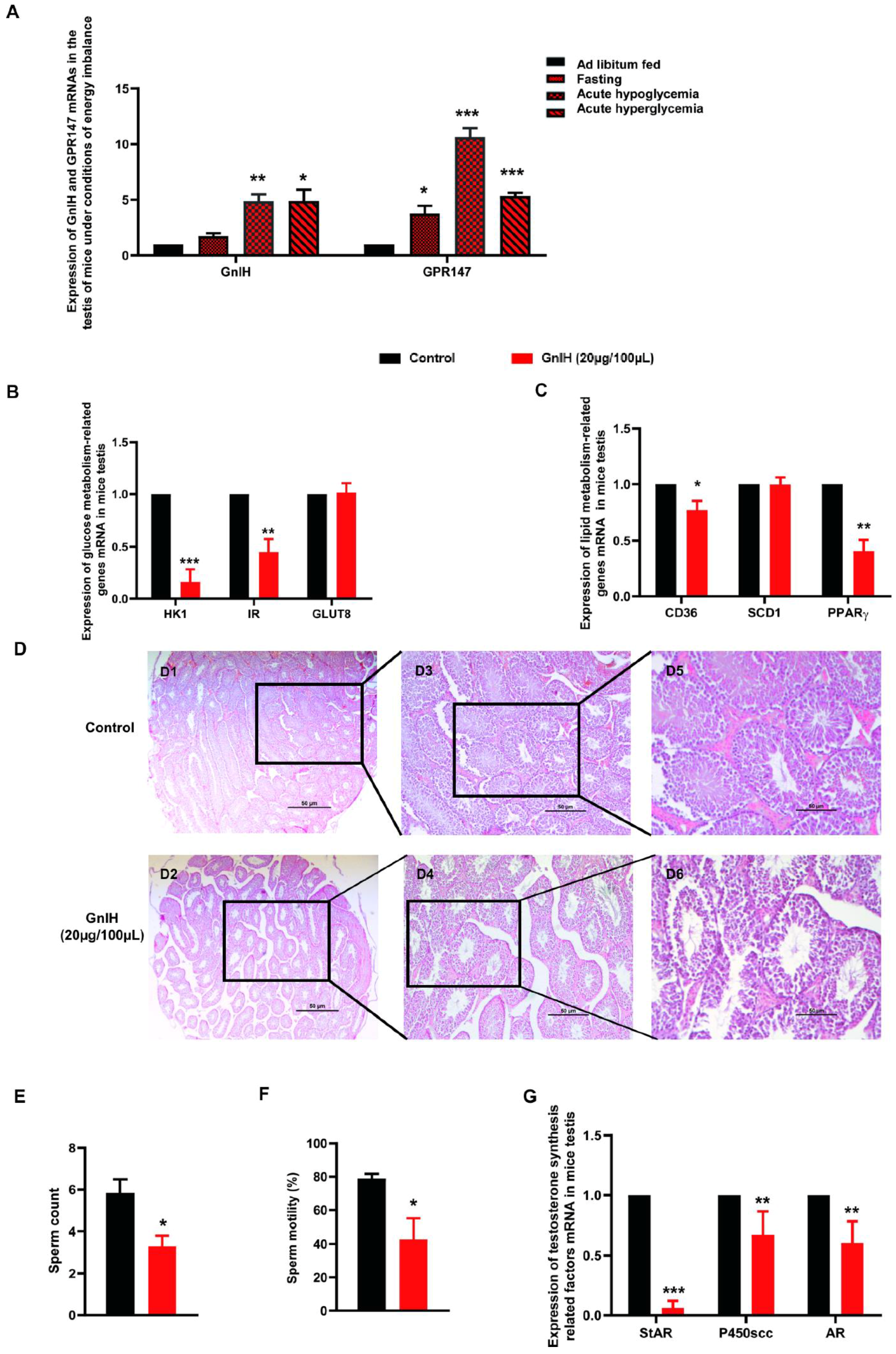 Ijms 23 08066 g004 Ijms 23 08066 g004