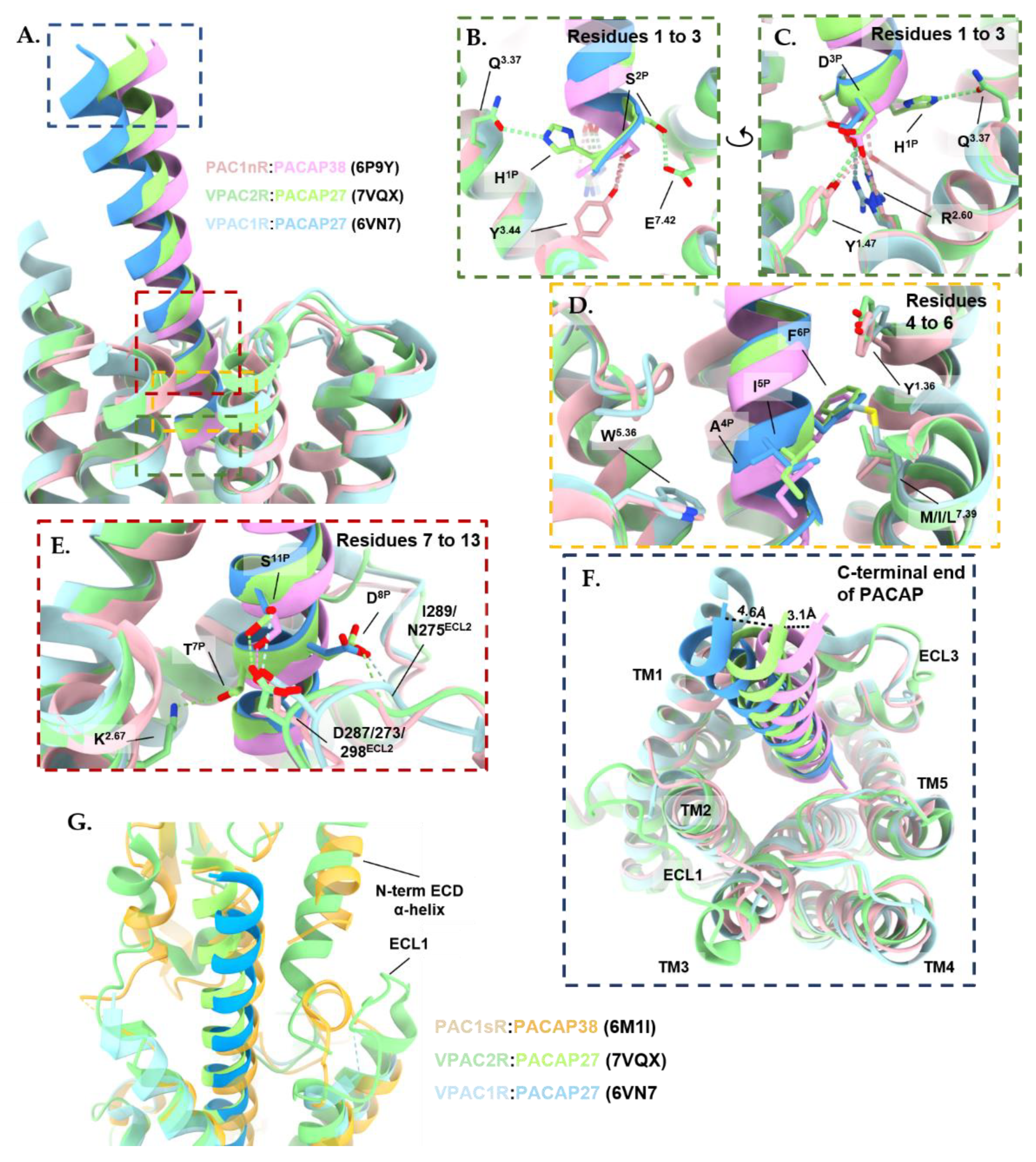 Ijms 23 08069 g005 Ijms 23 08069 g005