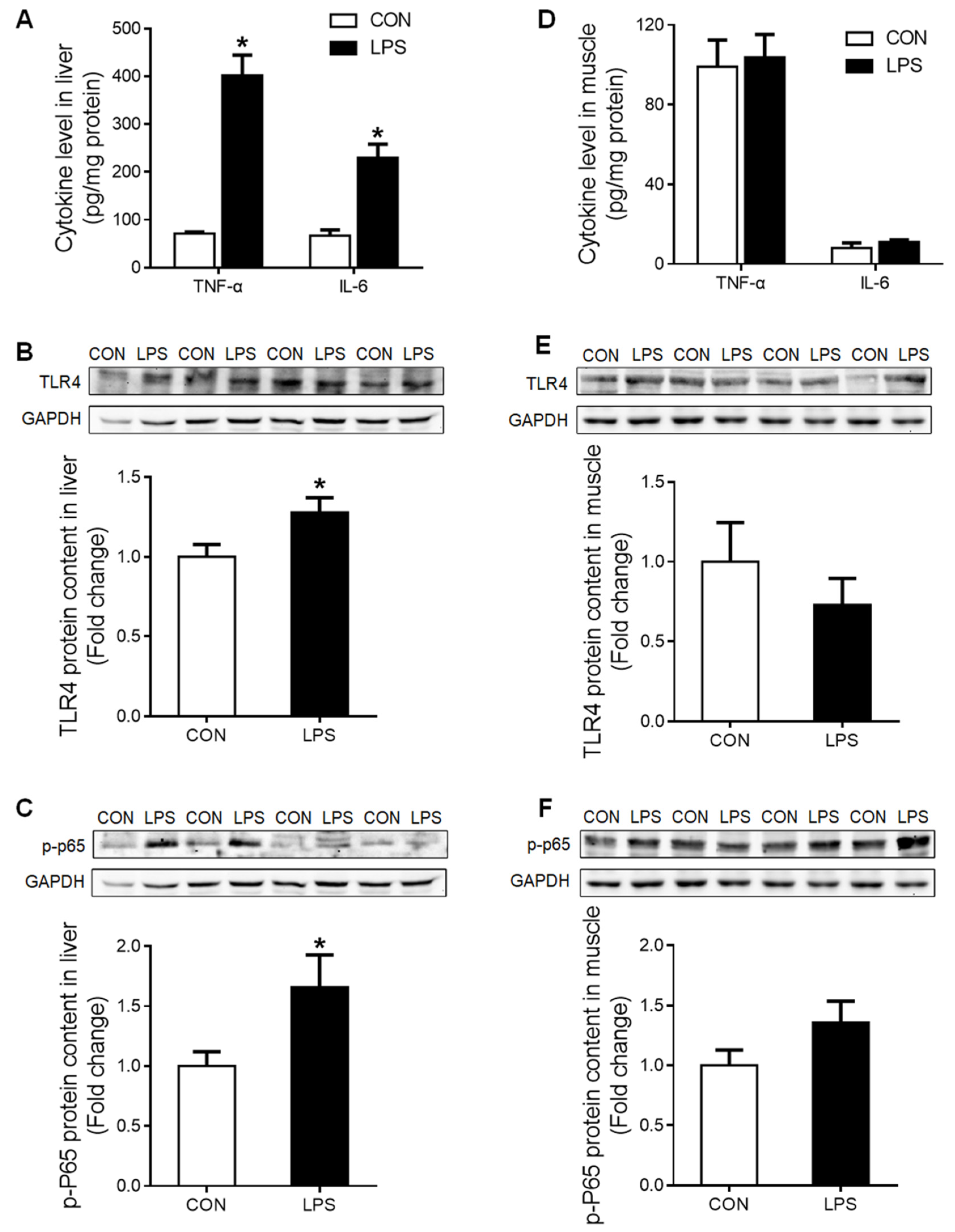 Ijms 23 08072 g001 Ijms 23 08072 g001