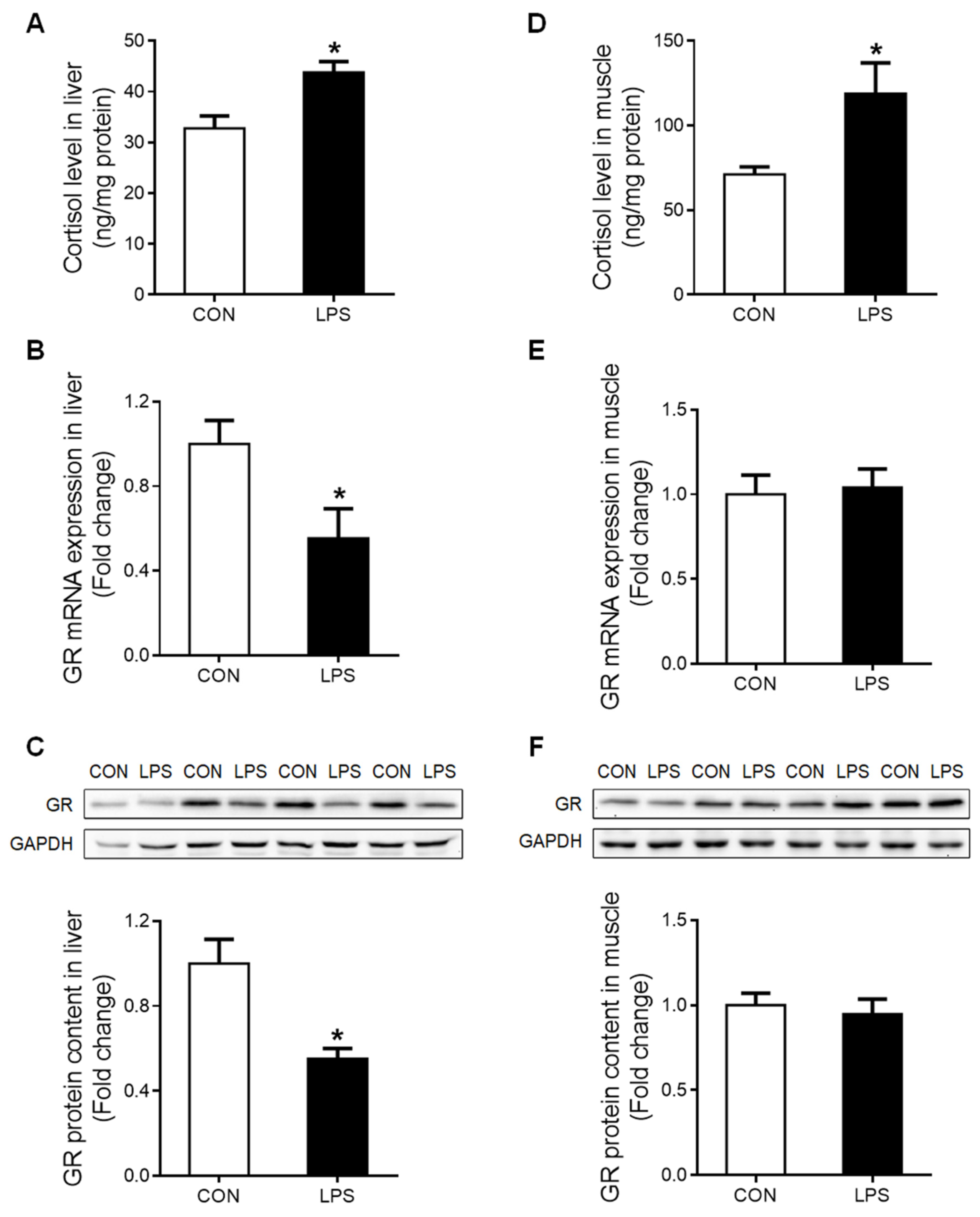 Ijms 23 08072 g002 Ijms 23 08072 g002