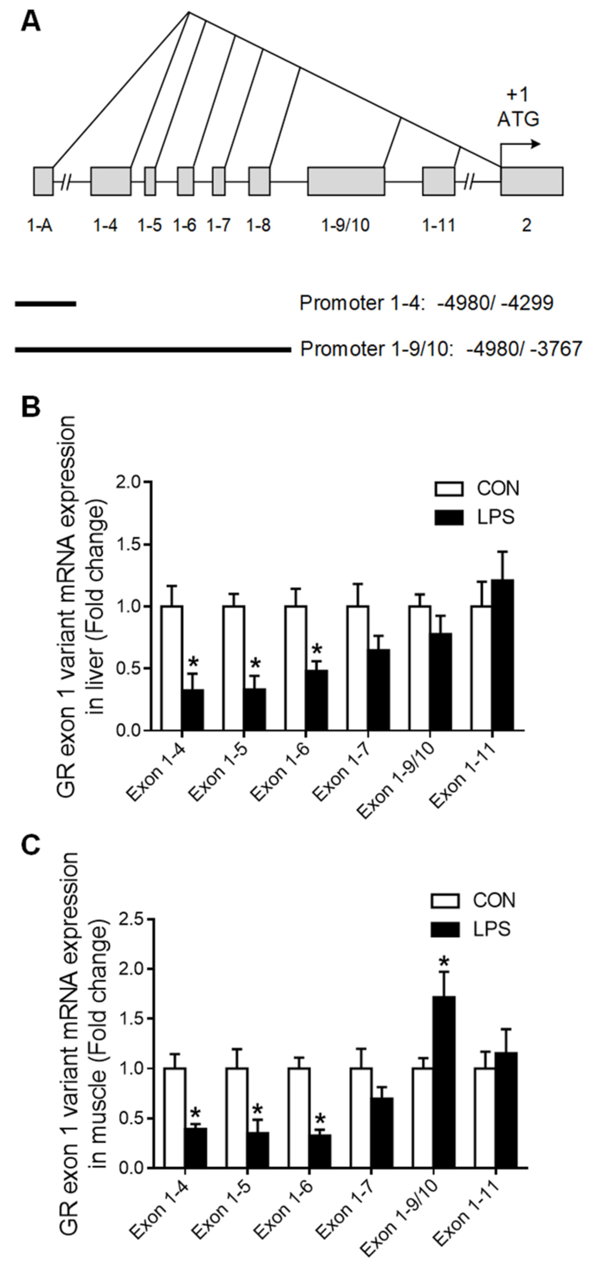 Ijms 23 08072 g003 Ijms 23 08072 g003