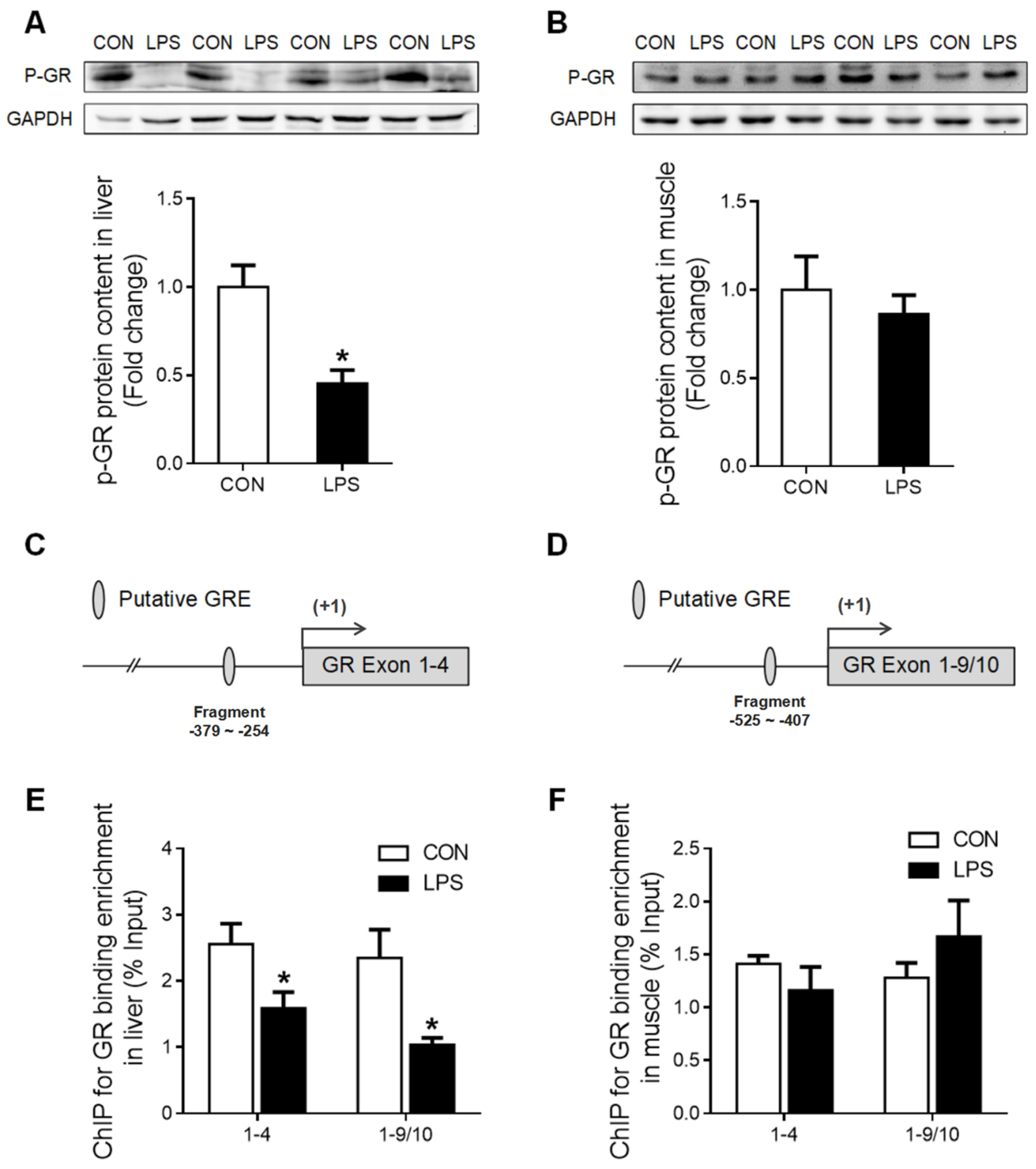 Ijms 23 08072 g004 Ijms 23 08072 g004