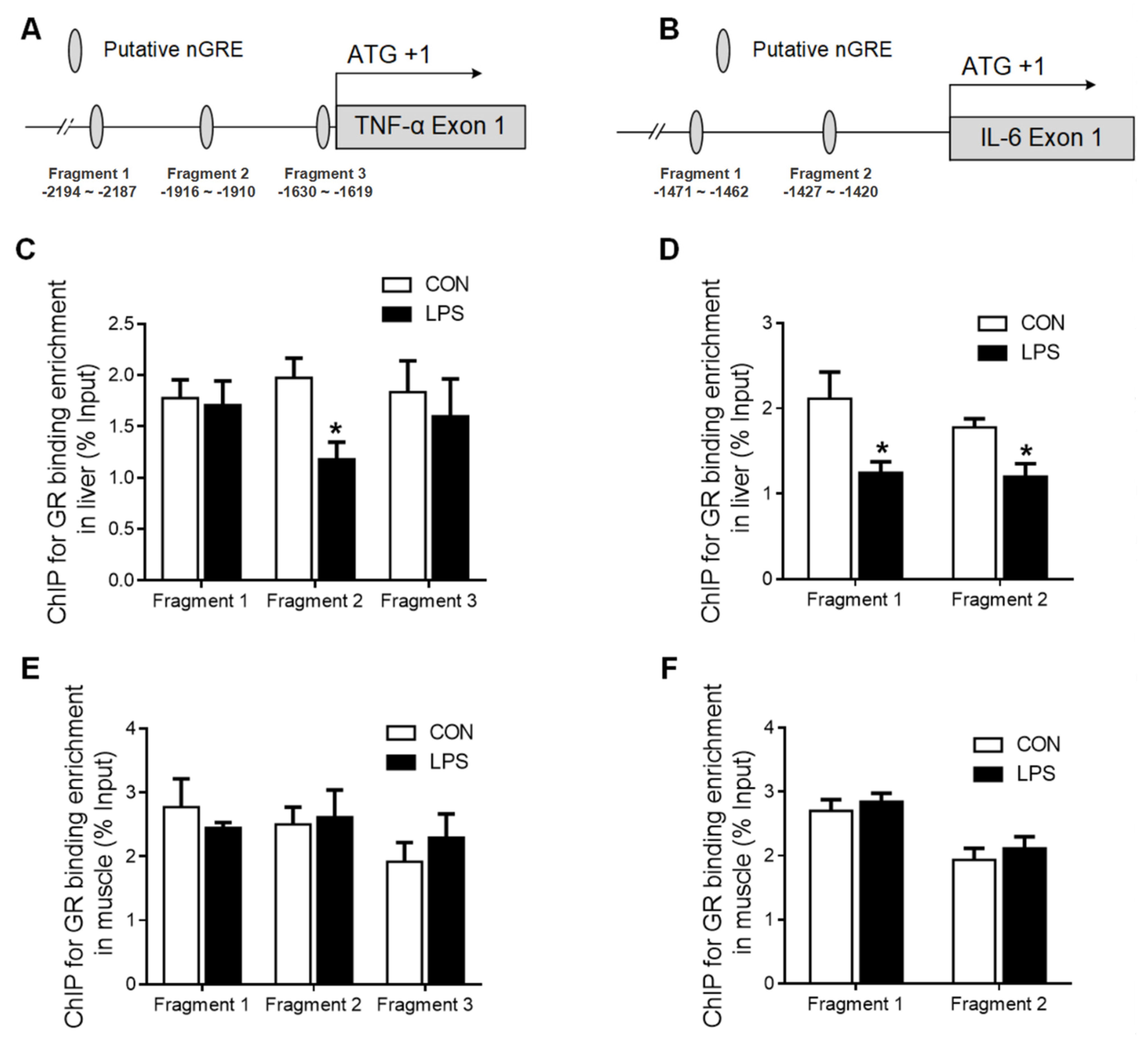 Ijms 23 08072 g006 Ijms 23 08072 g006
