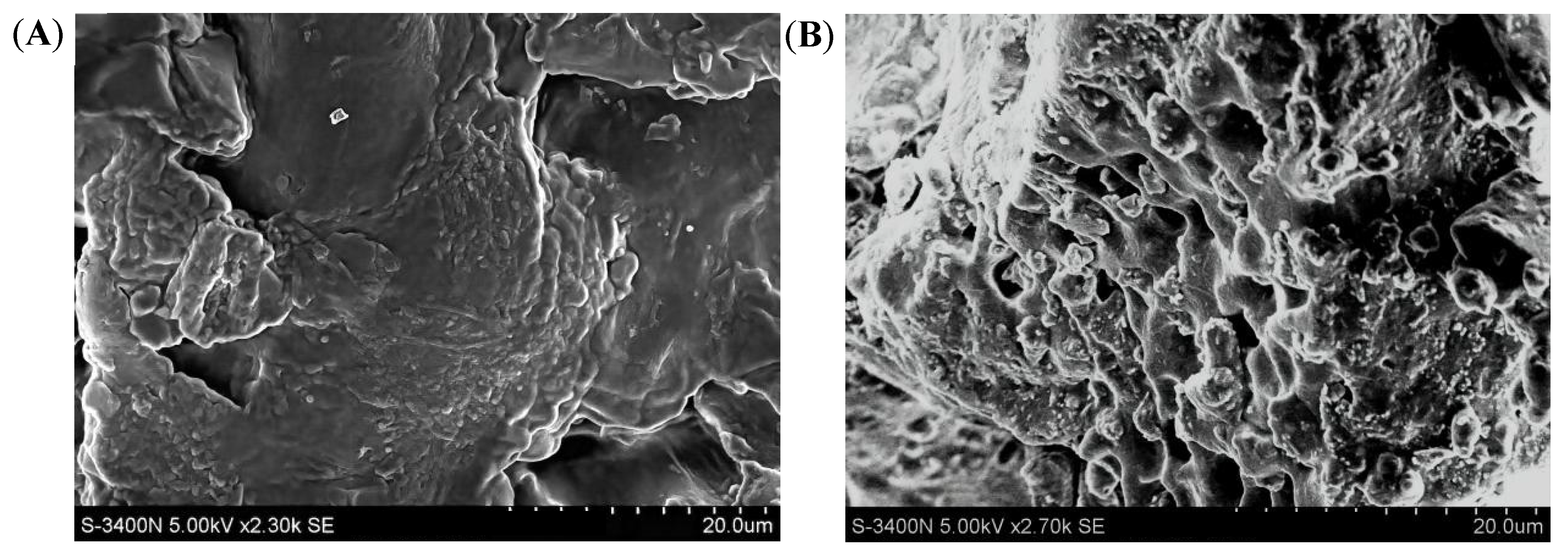 Ijms 23 08081 g004 Ijms 23 08081 g004