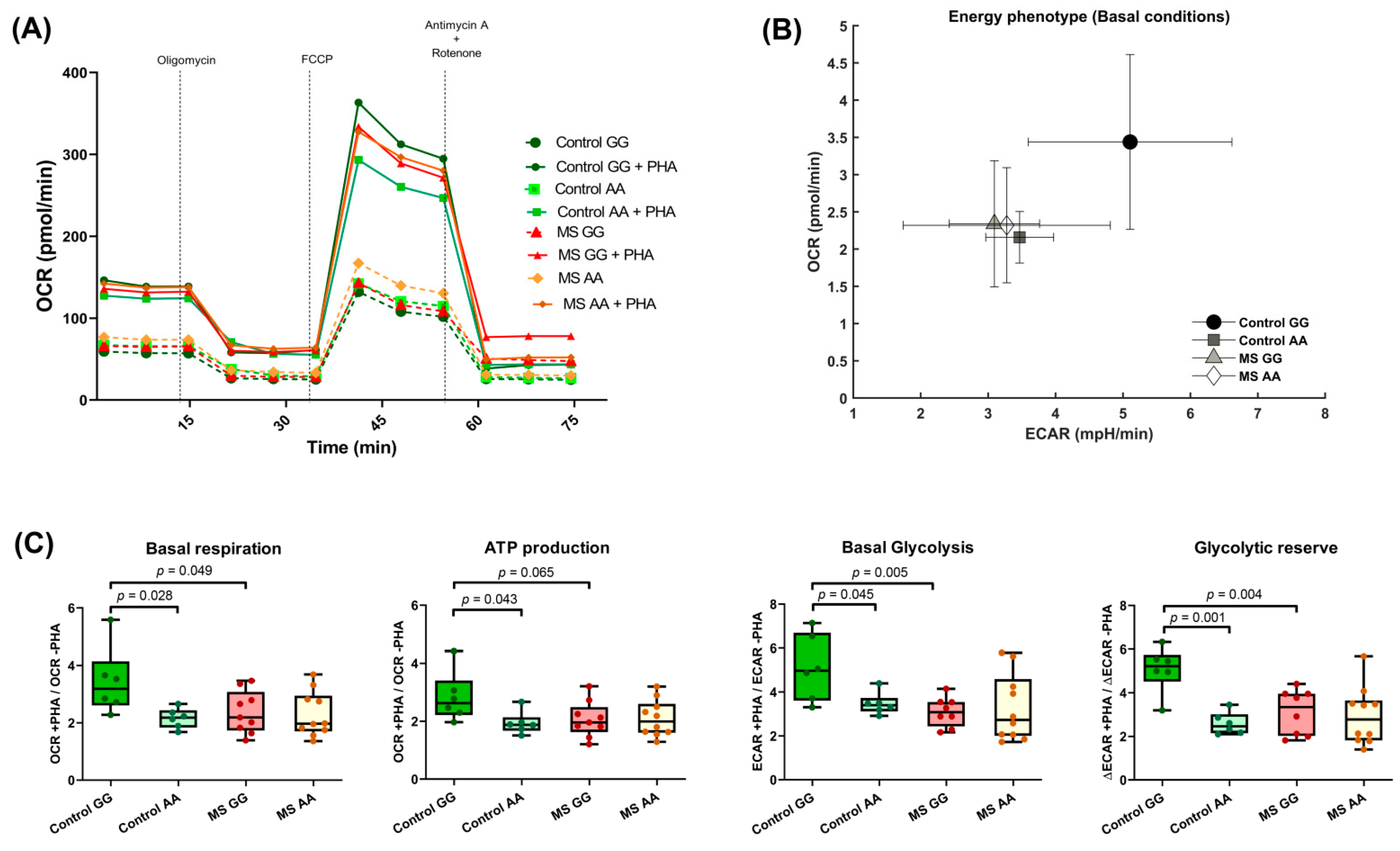 Ijms 23 08116 g004 Ijms 23 08116 g004