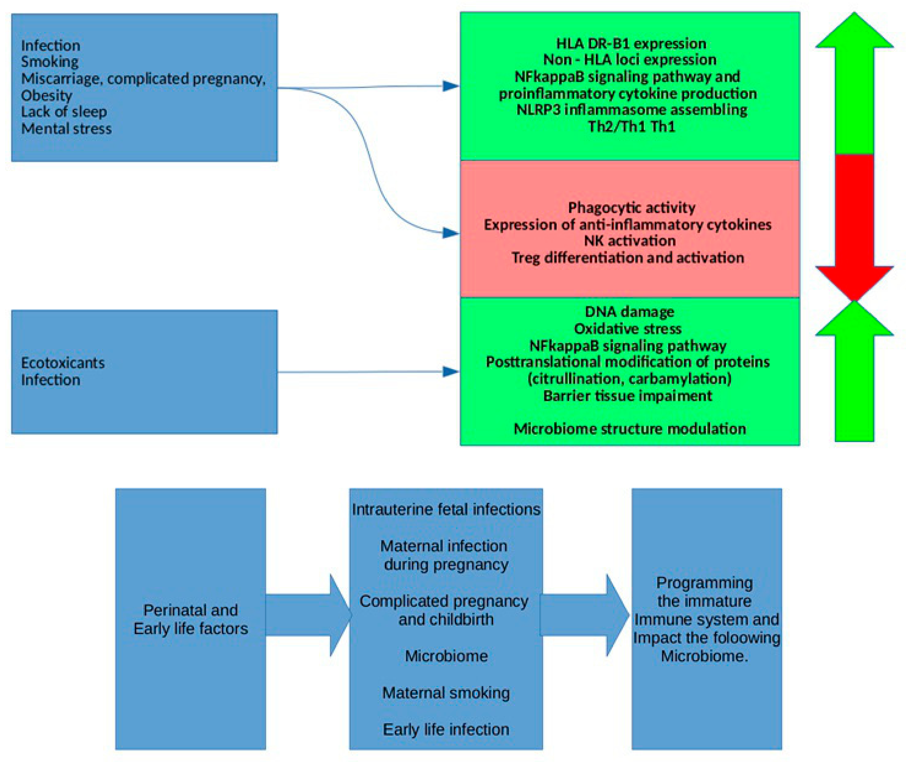 Ijms 23 08140 g006 Ijms 23 08140 g006