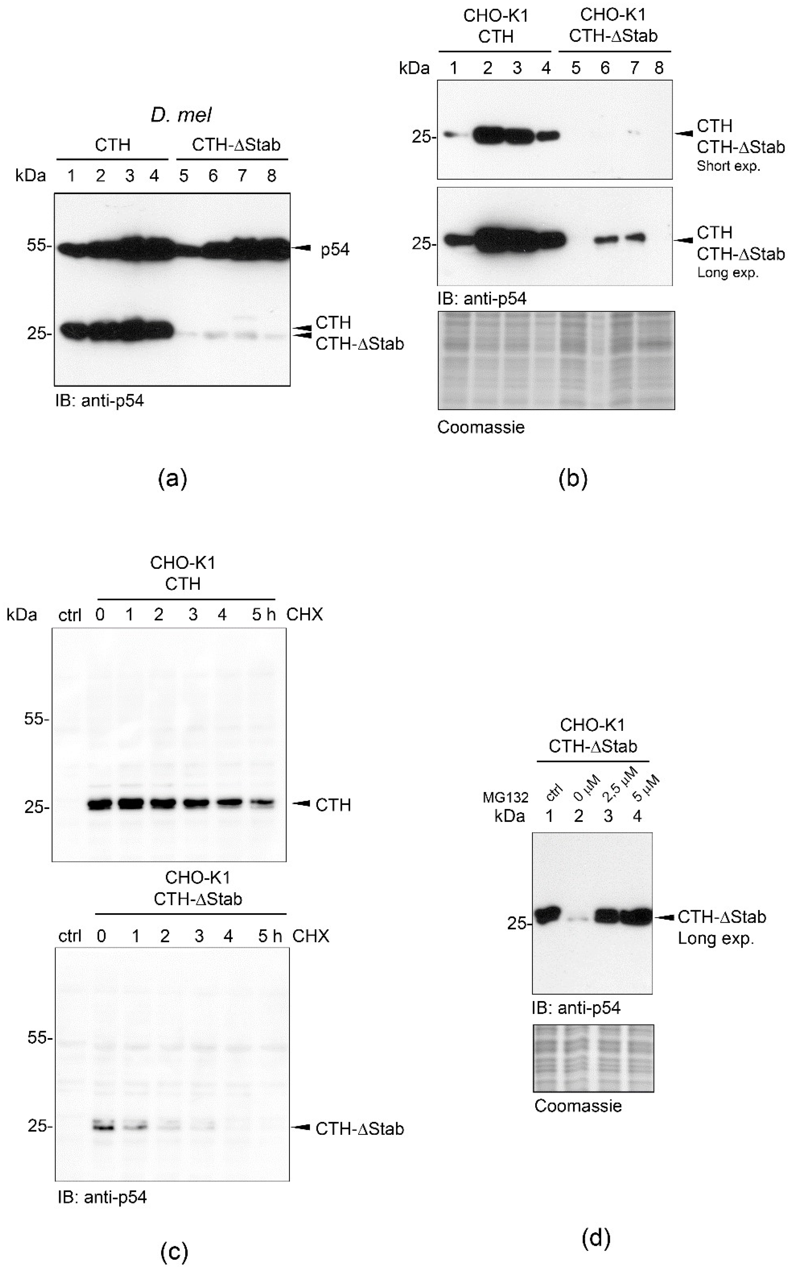 Ijms 23 08168 g001 Ijms 23 08168 g001