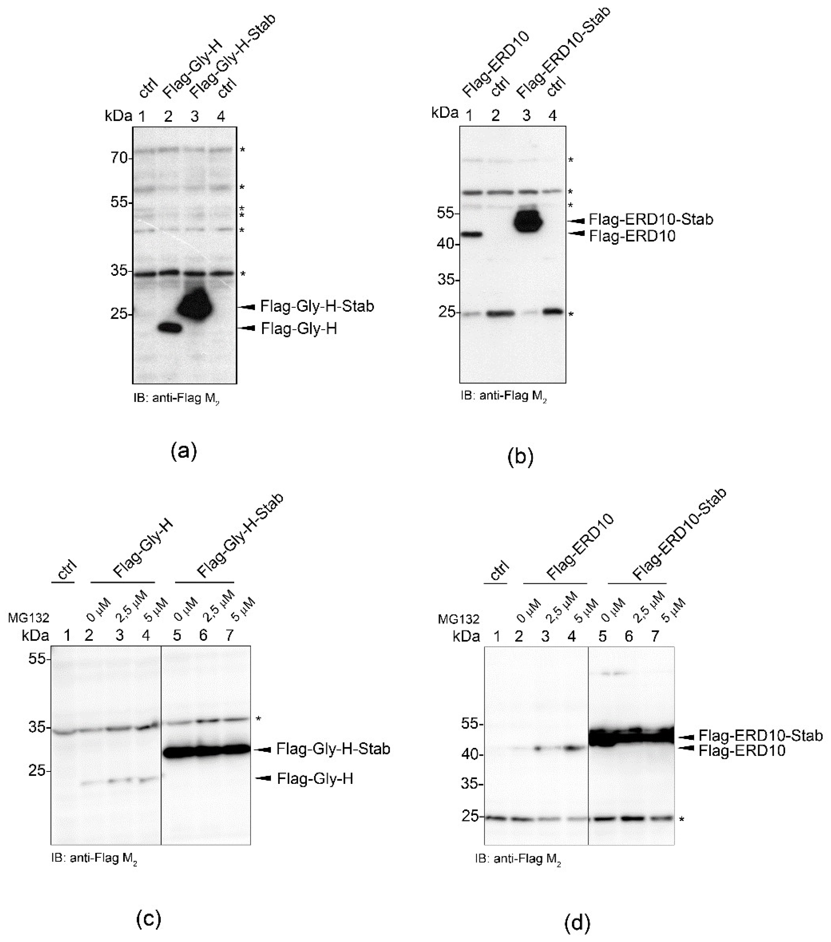 Ijms 23 08168 g004 Ijms 23 08168 g004