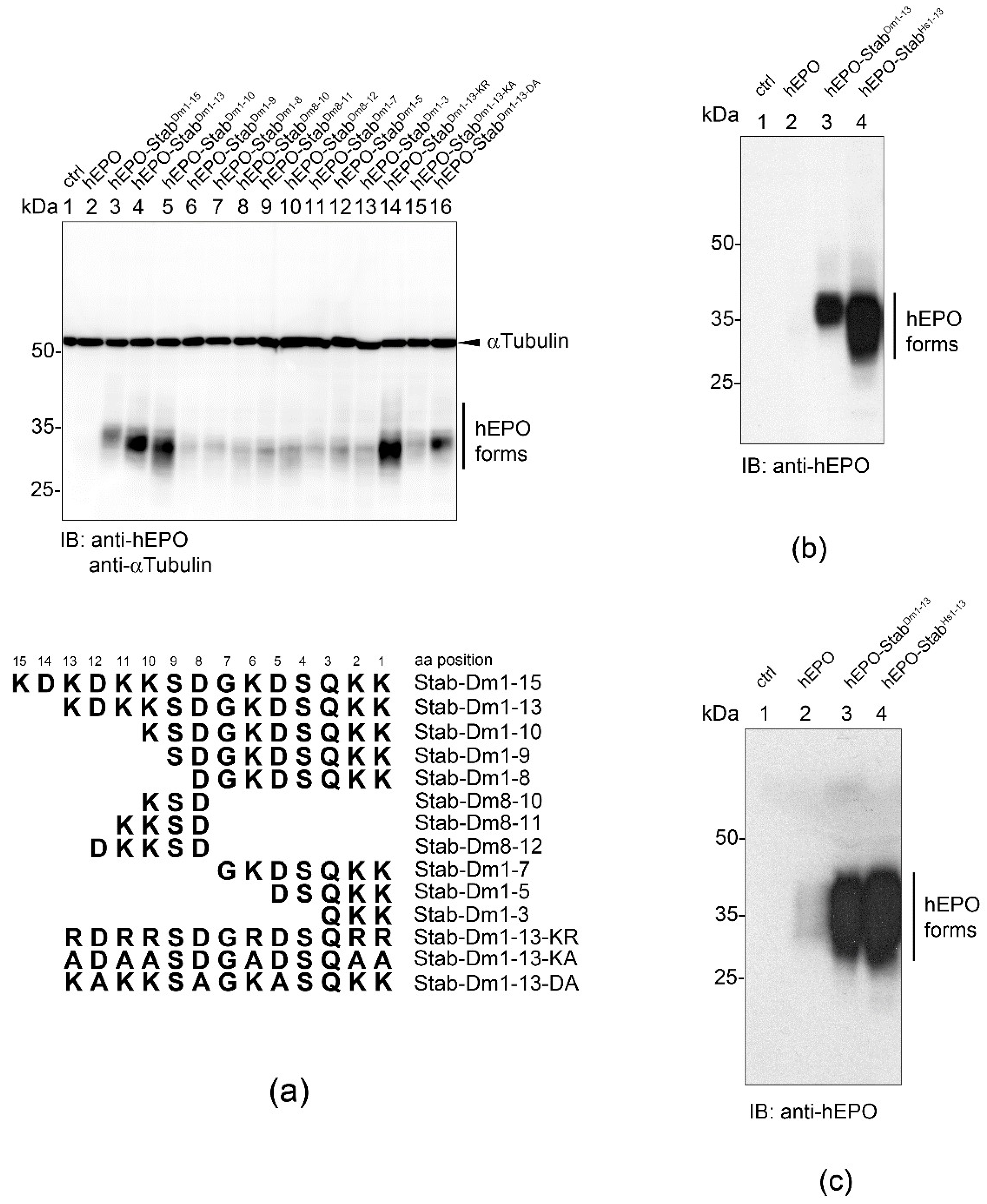 Ijms 23 08168 g006 Ijms 23 08168 g006