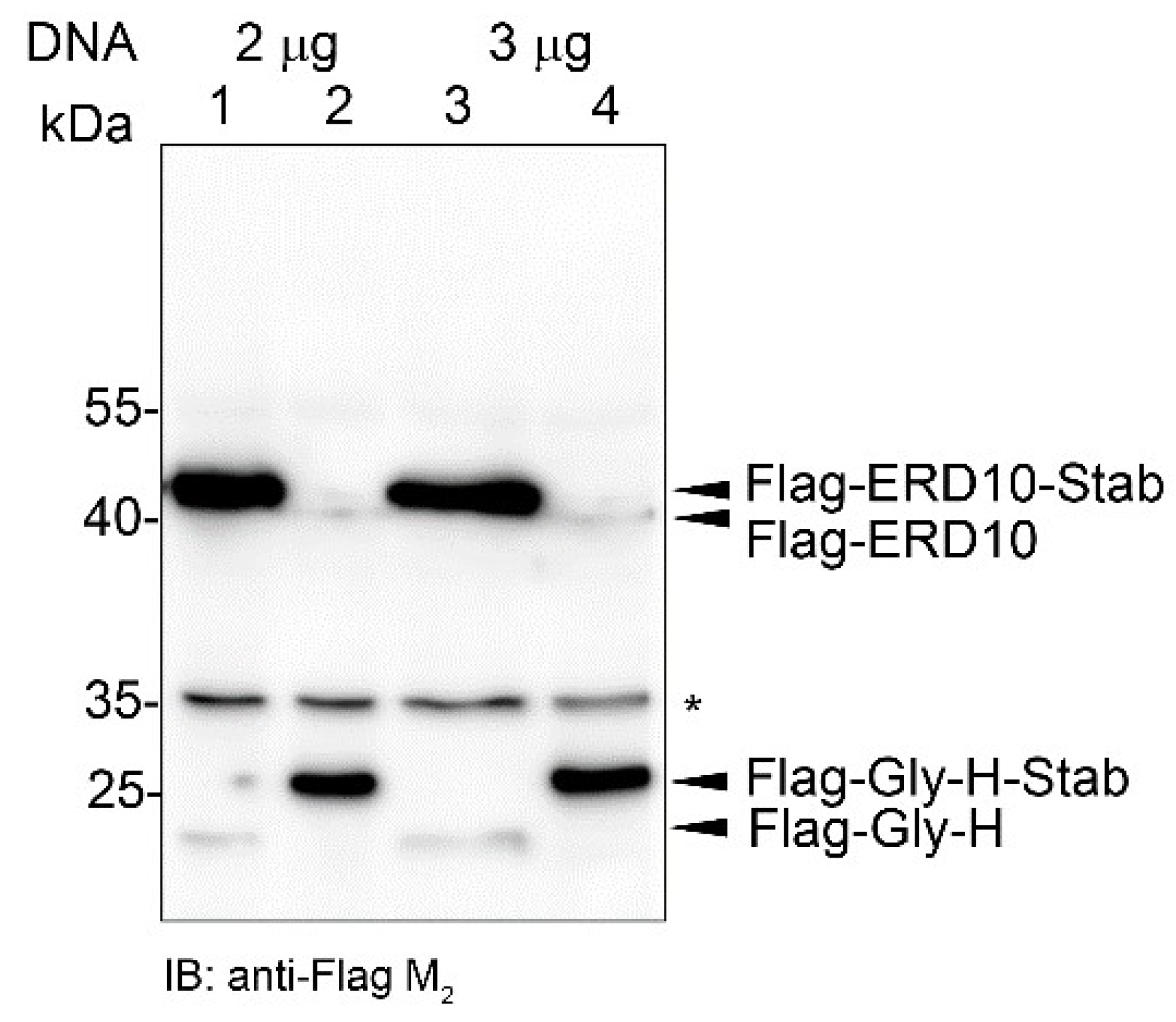 Ijms 23 08168 g007 Ijms 23 08168 g007