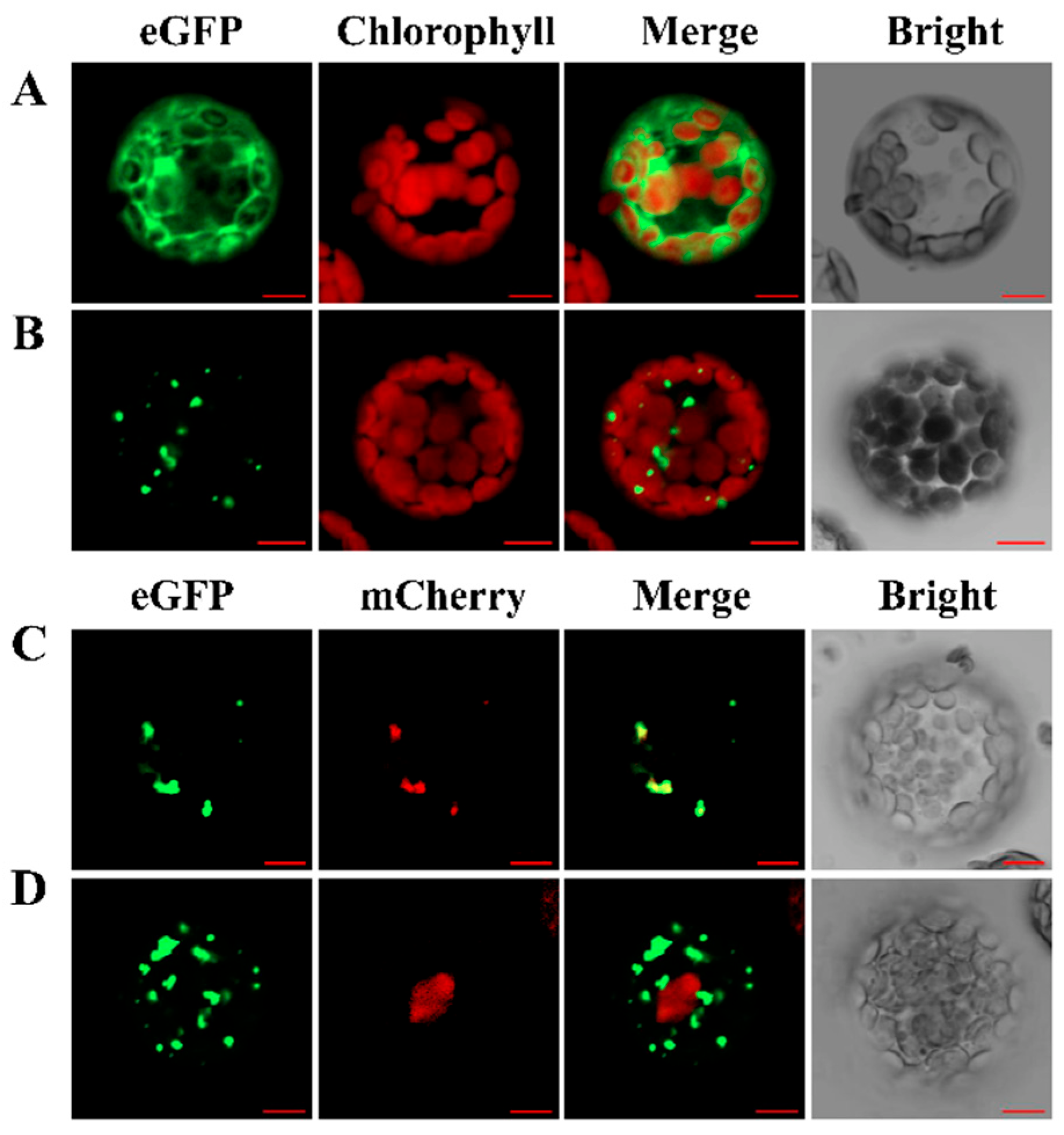 Ijms 23 08172 g003 Ijms 23 08172 g003