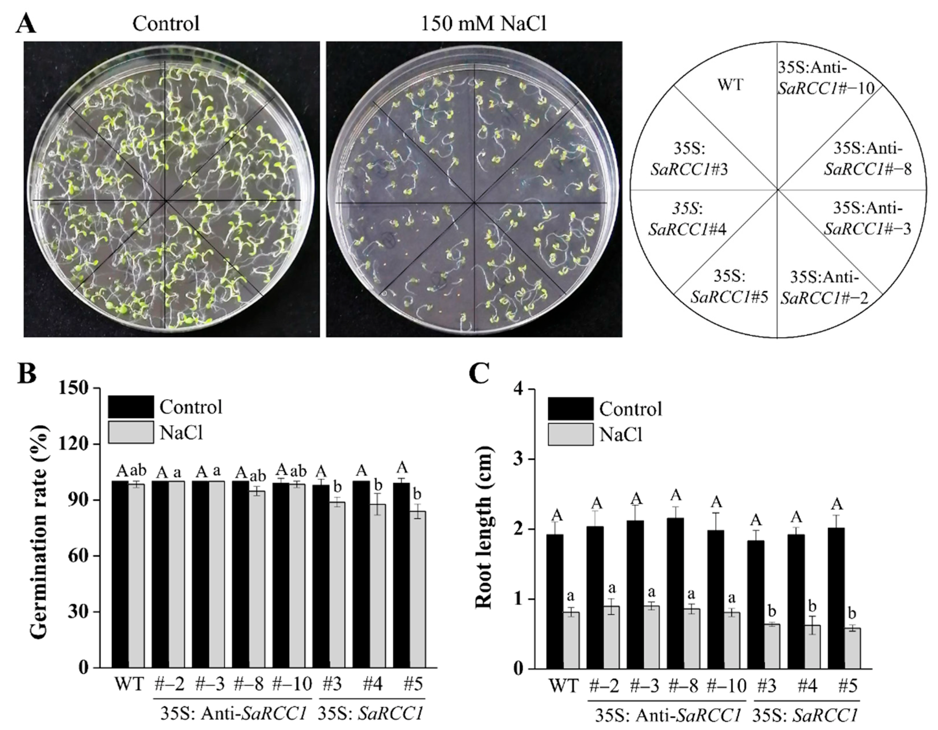 Ijms 23 08172 g005 Ijms 23 08172 g005