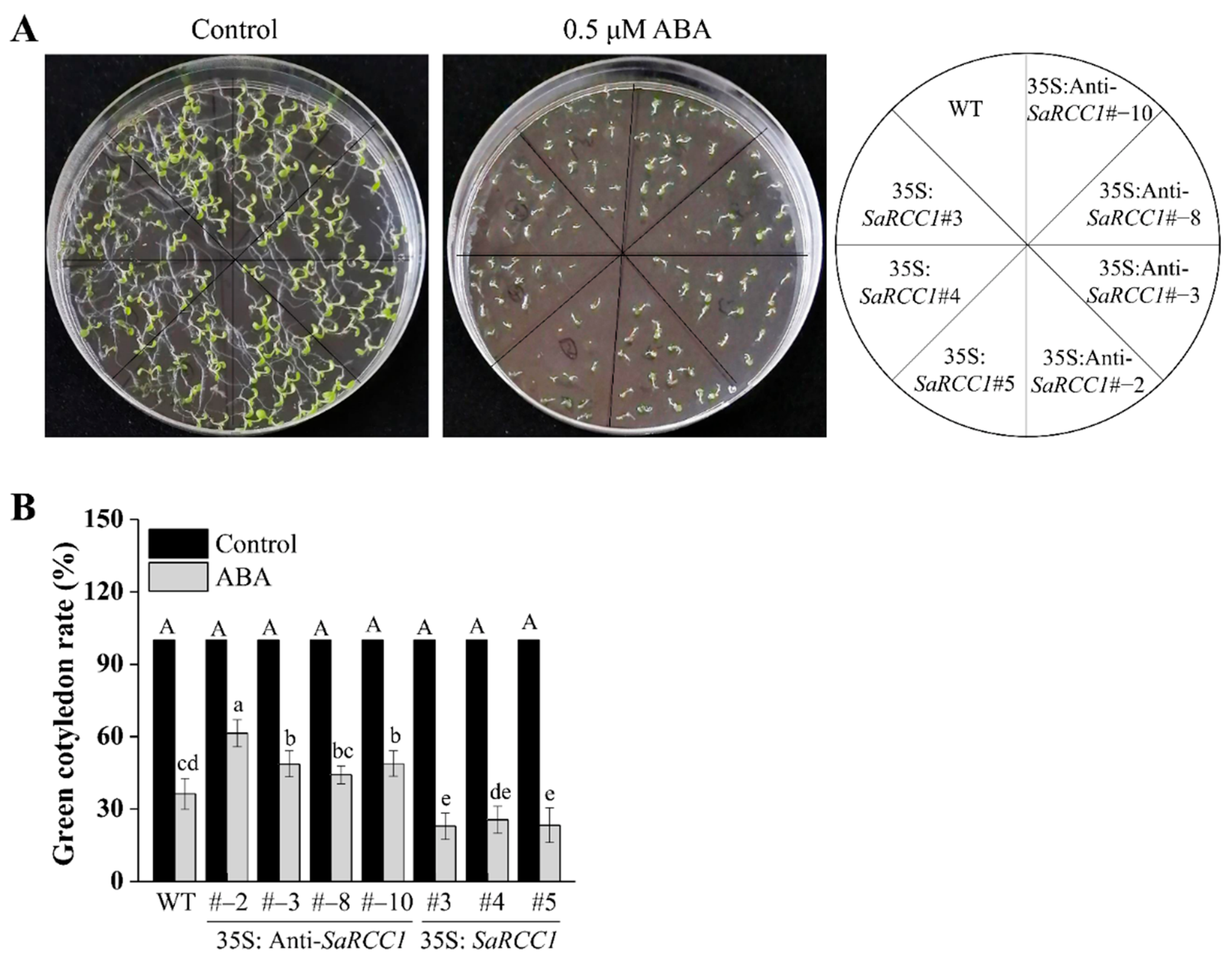 Ijms 23 08172 g006 Ijms 23 08172 g006
