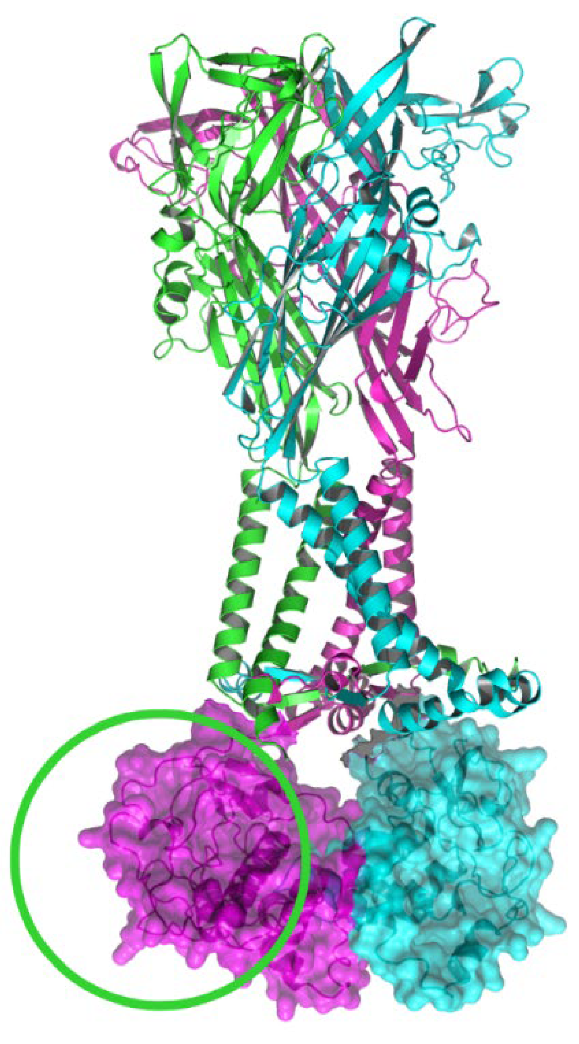 Ijms 23 08174 g004 Ijms 23 08174 g004