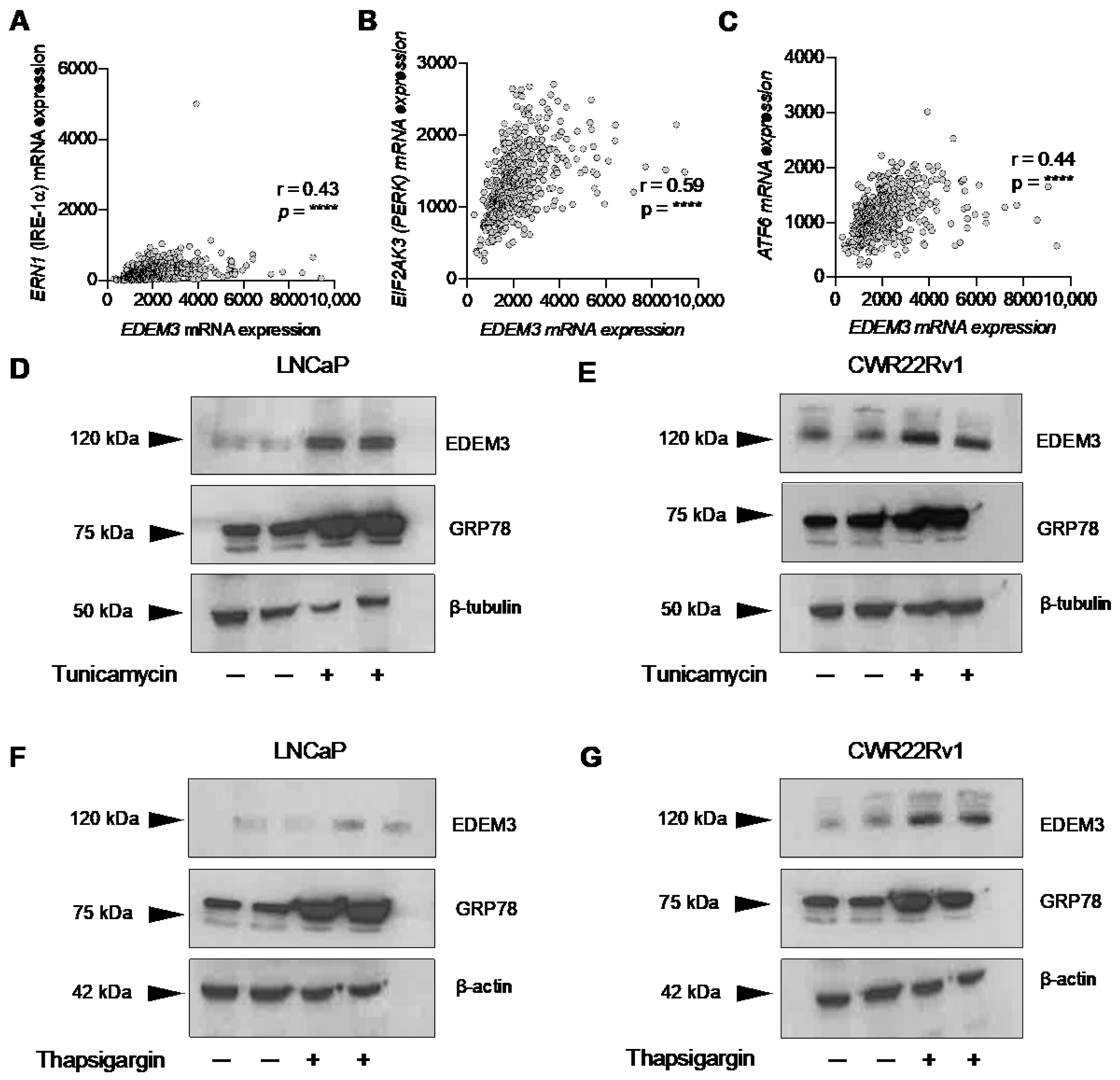 Ijms 23 08184 g003 Ijms 23 08184 g003