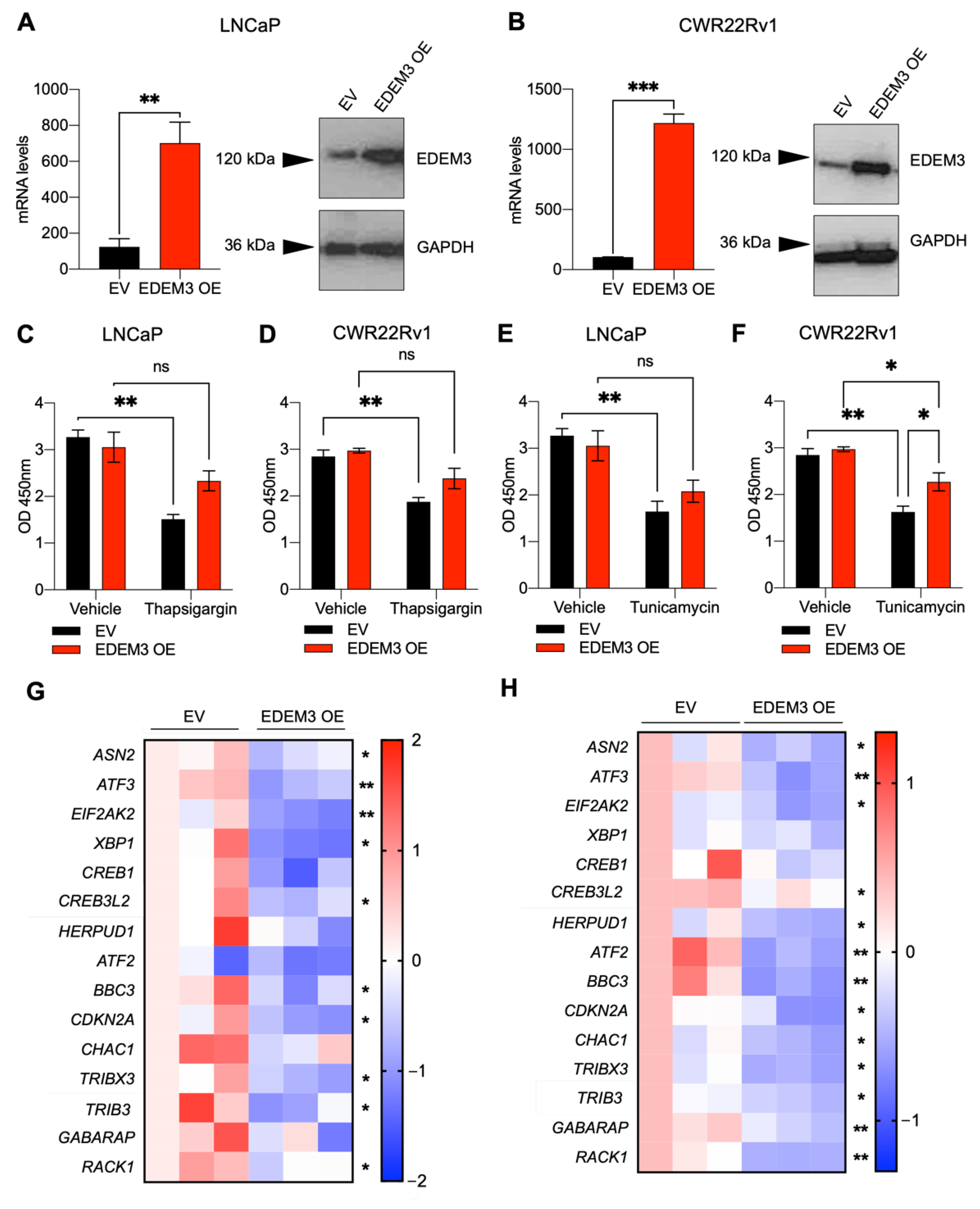 Ijms 23 08184 g004 Ijms 23 08184 g004