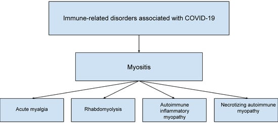 Drug-Induced Rhabdomyolysis: From Systems Pharmacology Analysis to  Biochemical Flux